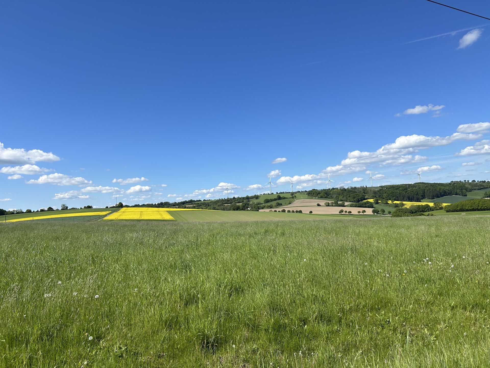 Immobilienangebot - Barntrup - Alle - In "himmlischer Ruhe" direkt am Waldrand wohnen!