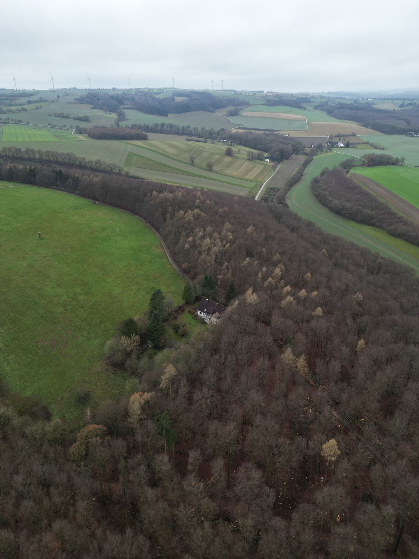 Immobilienangebot - Barntrup - Alle - In "himmlischer Ruhe" direkt am Waldrand wohnen!