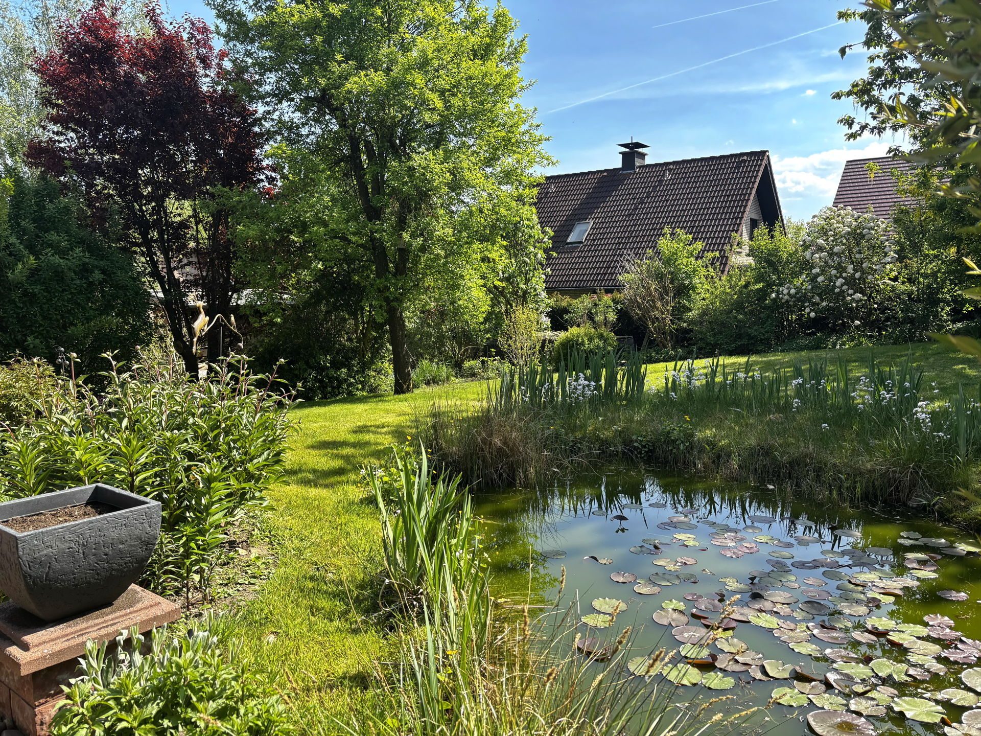 Immobilienangebot - Lage - Alle - Ruhiges, zentrales wohnen in Lage, Sackgassenlage