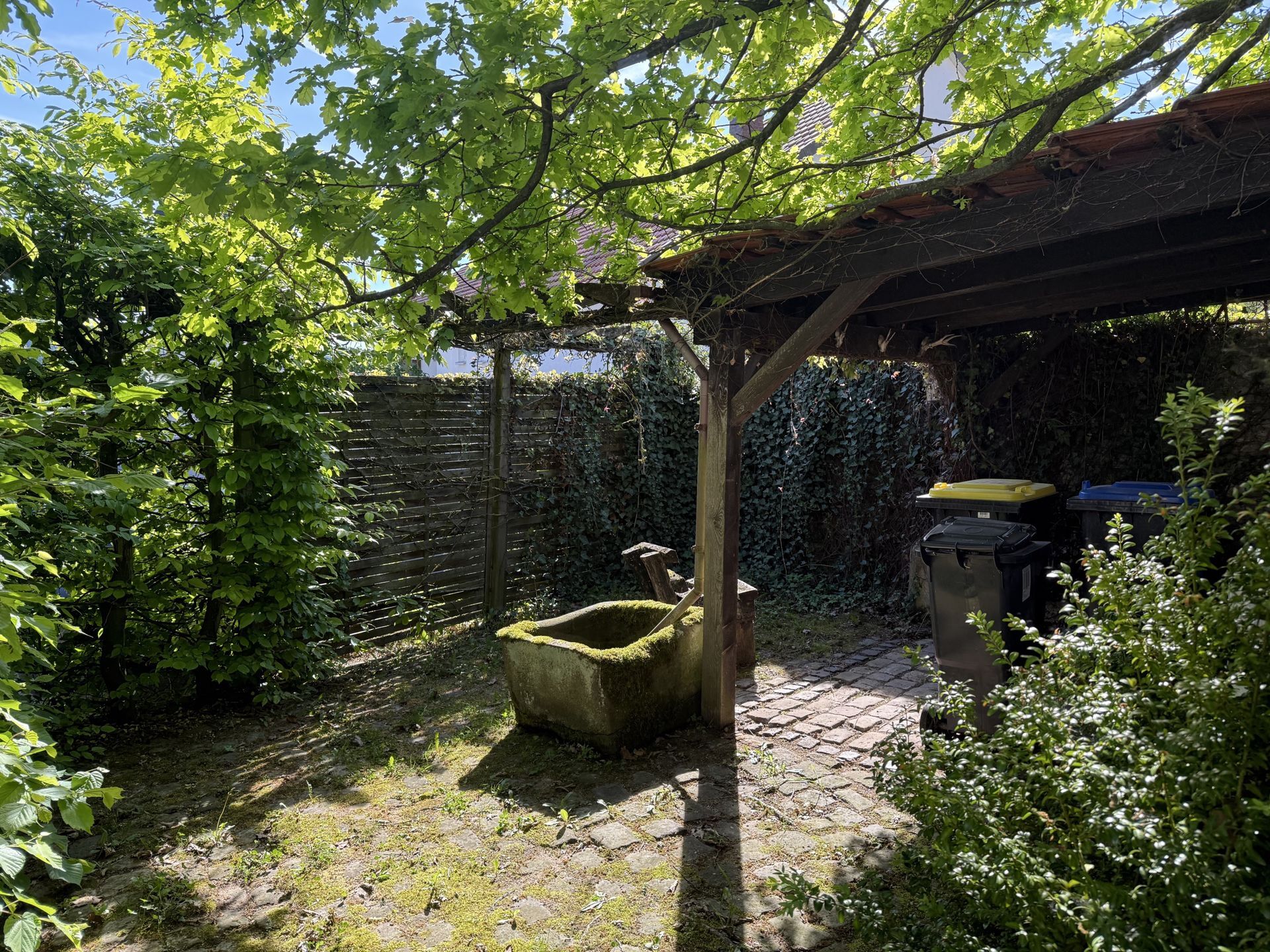 Immobilienangebot - Brakel - Alle - Ein Traum für Handwerker: Fachwerkhaus in Brakel-Istrup