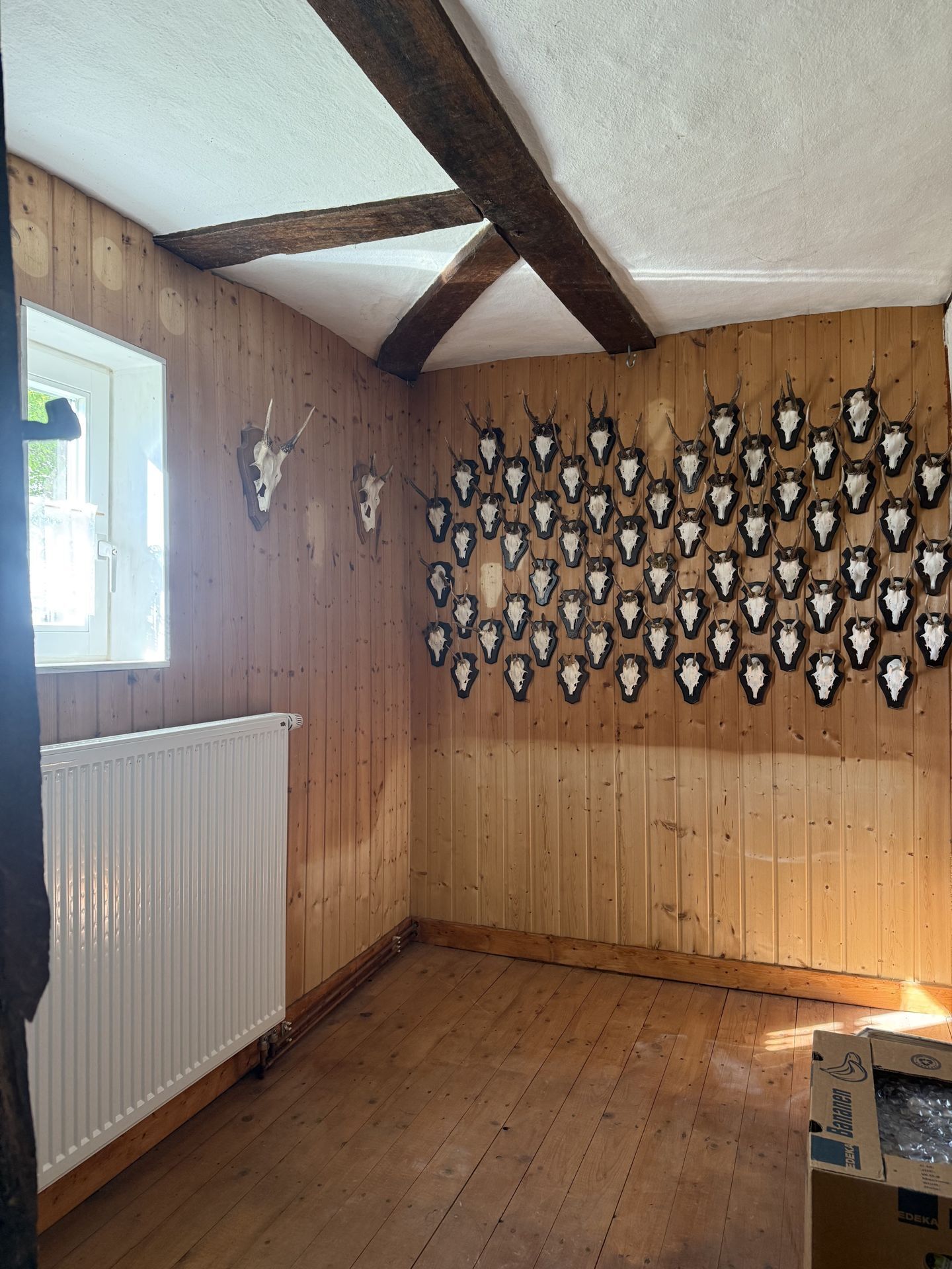 Immobilienangebot - Brakel - Alle - Ein Traum für Handwerker: Fachwerkhaus in Brakel-Istrup