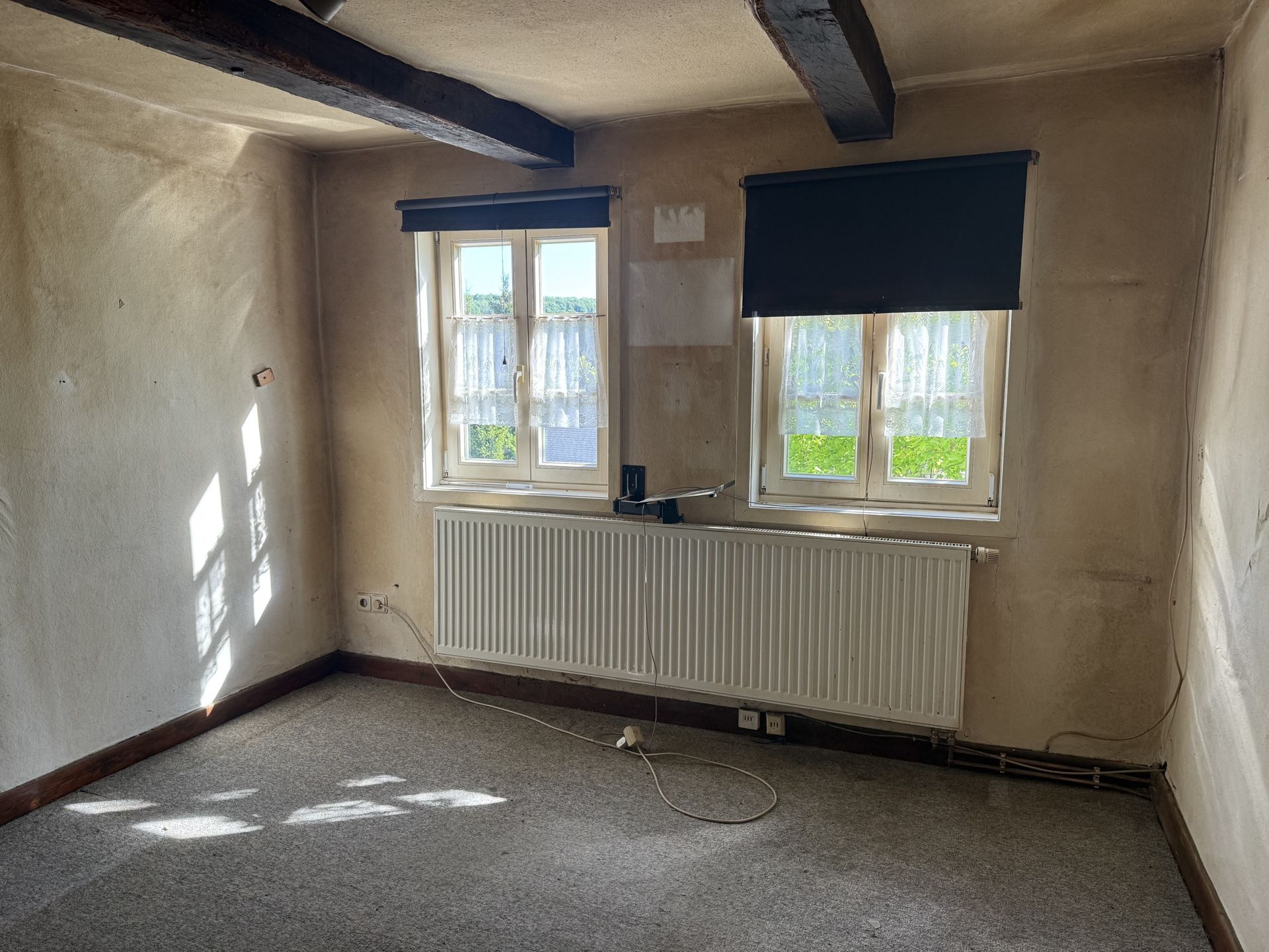 Immobilienangebot - Brakel - Alle - Ein Traum für Handwerker: Fachwerkhaus in Brakel-Istrup