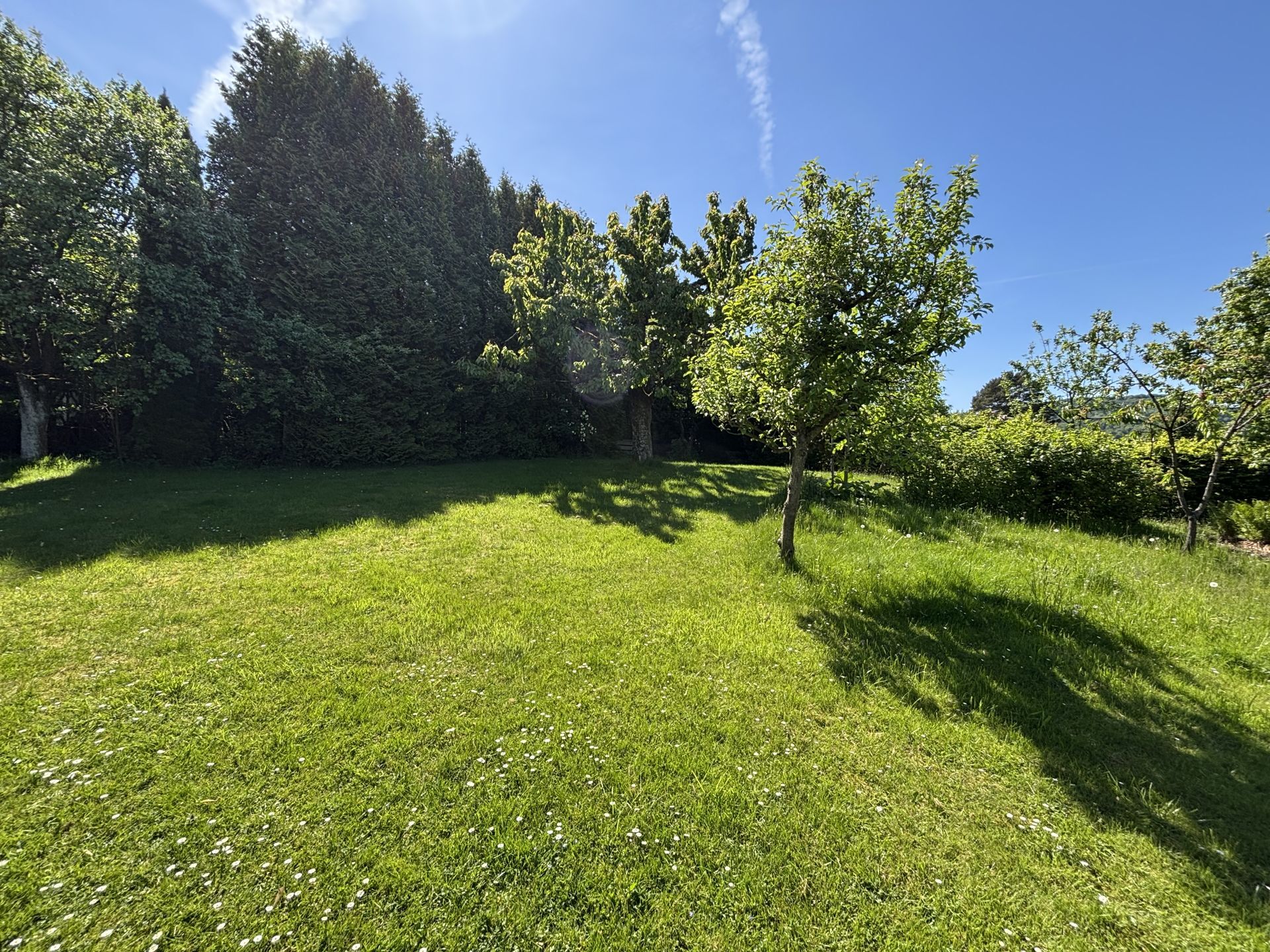 Immobilienangebot - Detmold - Alle - Zweifamilienhaus in idyllischer Umgebung!