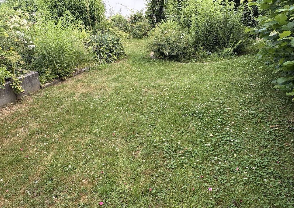 Immobilienangebot - Höxter - Alle - Einfamilienhaus mit Wintergarten in ruhiger Lage