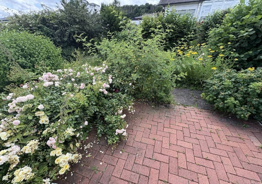 Immobilienangebot - Höxter - Alle - Einfamilienhaus mit Wintergarten in ruhiger Lage