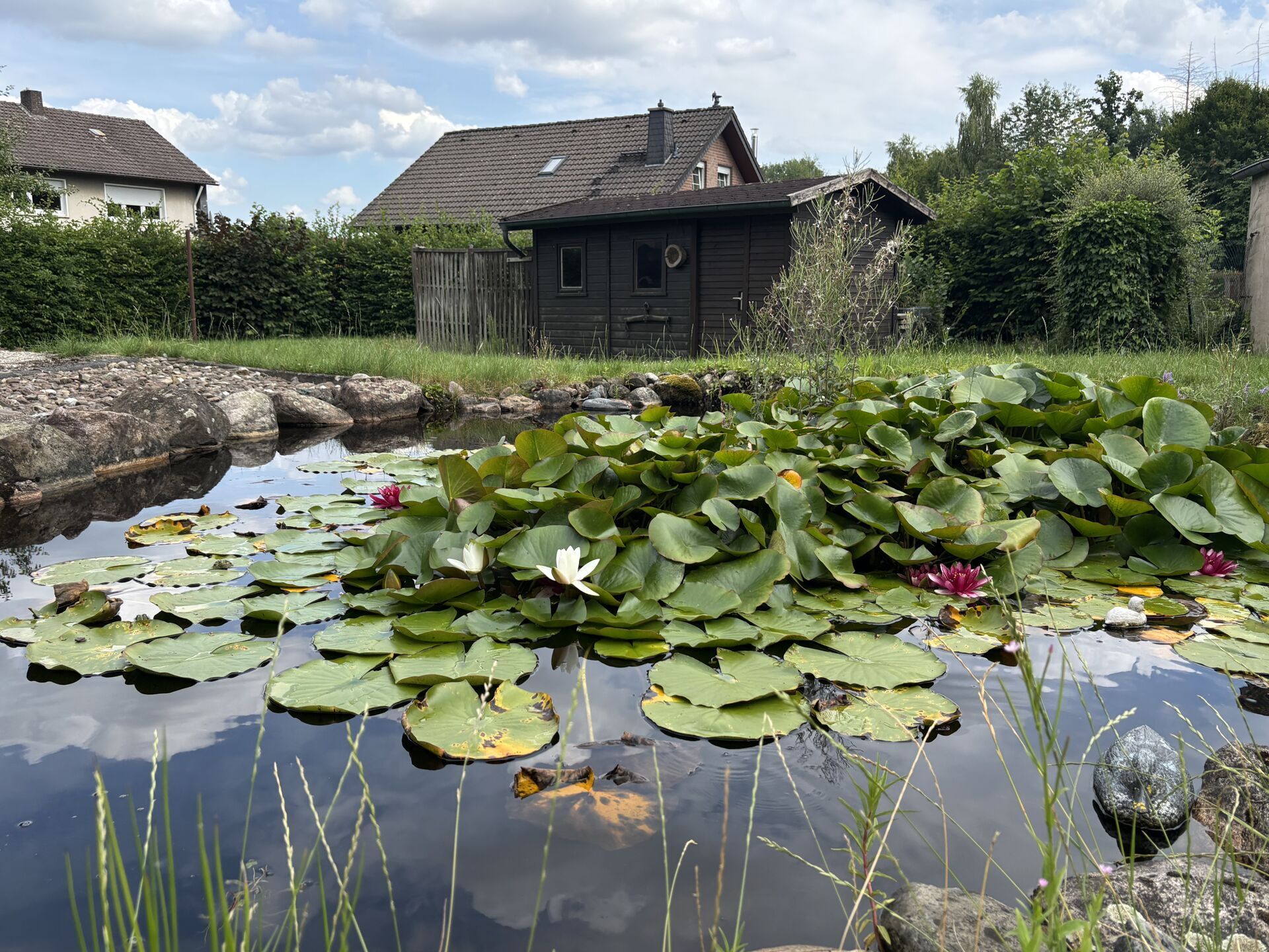 Immobilienangebot - Lage - Alle - Entspanntes Wohngefühl am Waldrand!