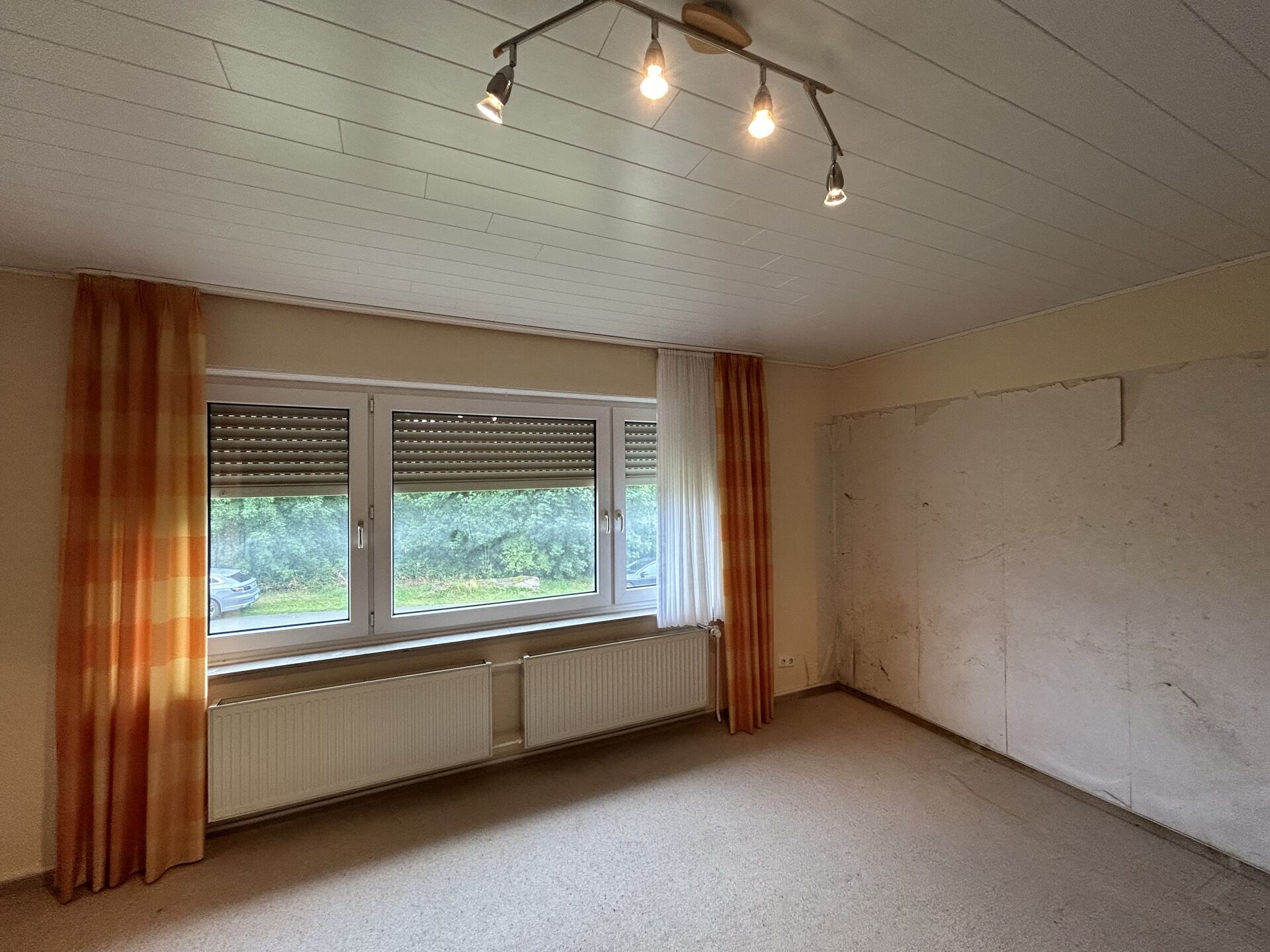 Immobilienangebot - Horn-Bad Meinberg - Alle - Hier könnte Ihr Wohn(t)raum Gestalt annehmen...
