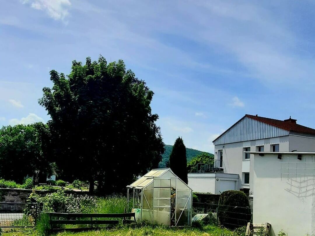 Immobilienangebot - Beverungen - Alle - Geschmackvolles Einfamilienhaus im Herzen von Beverungen