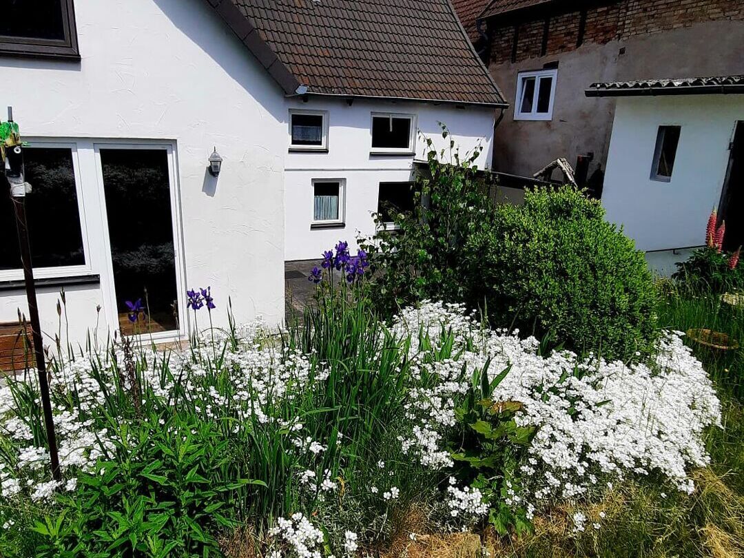 Immobilienangebot - Beverungen - Alle - Geschmackvolles Einfamilienhaus im Herzen von Beverungen