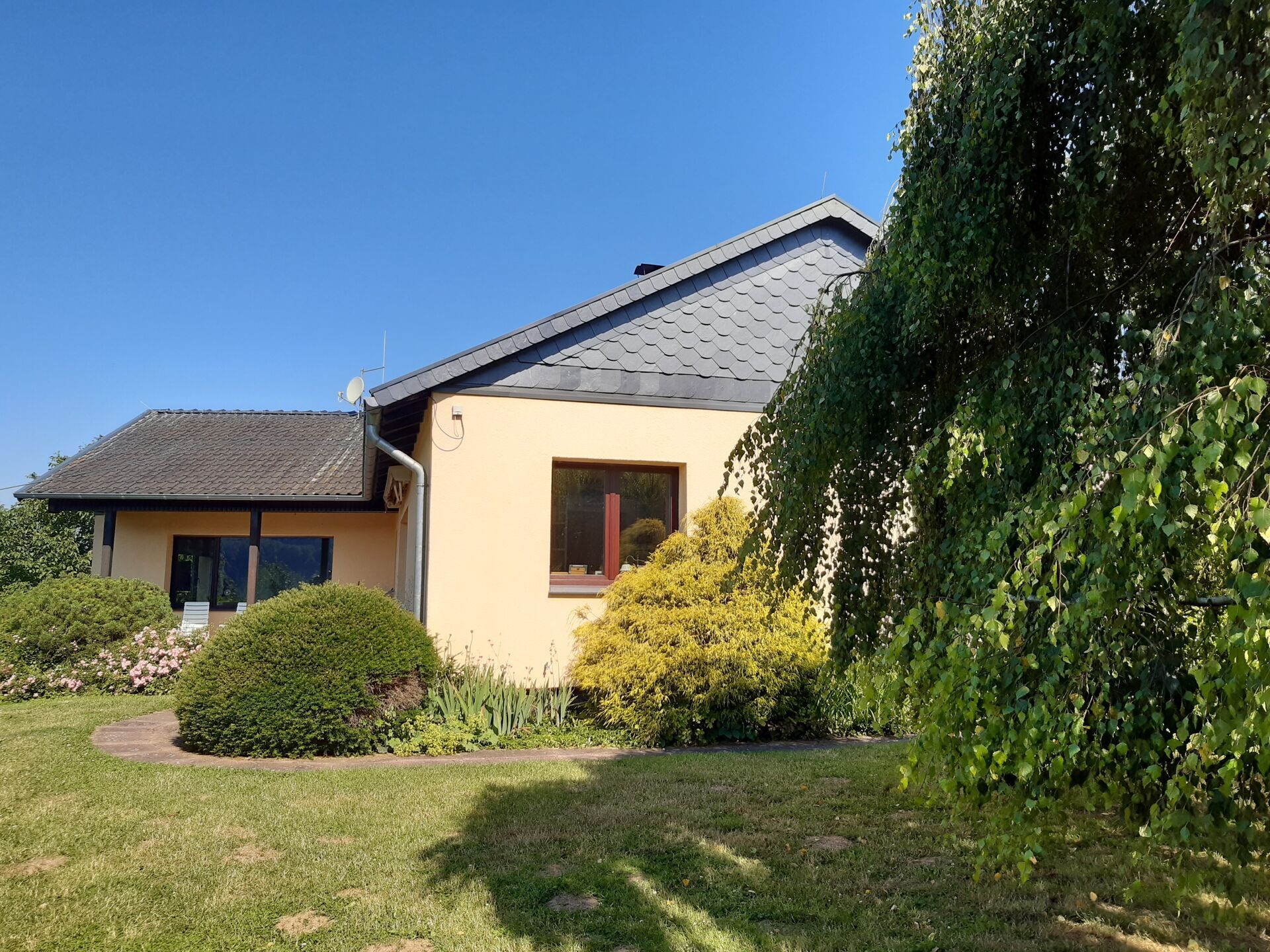 Immobilienangebot - Willebadessen - Alle - Traumhafte Aussichten in ruhiger Umgebung