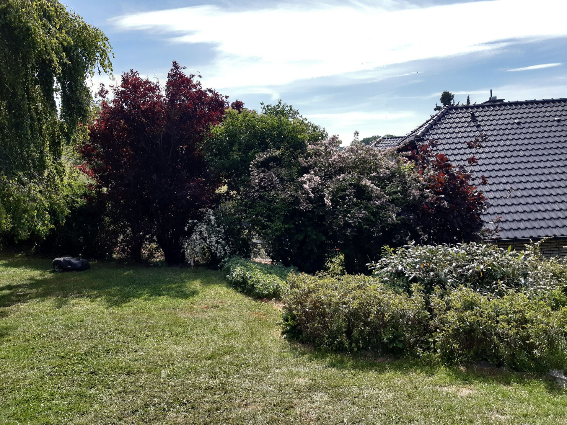 Immobilienangebot - Willebadessen - Alle - Traumhafte Aussichten in ruhiger Umgebung