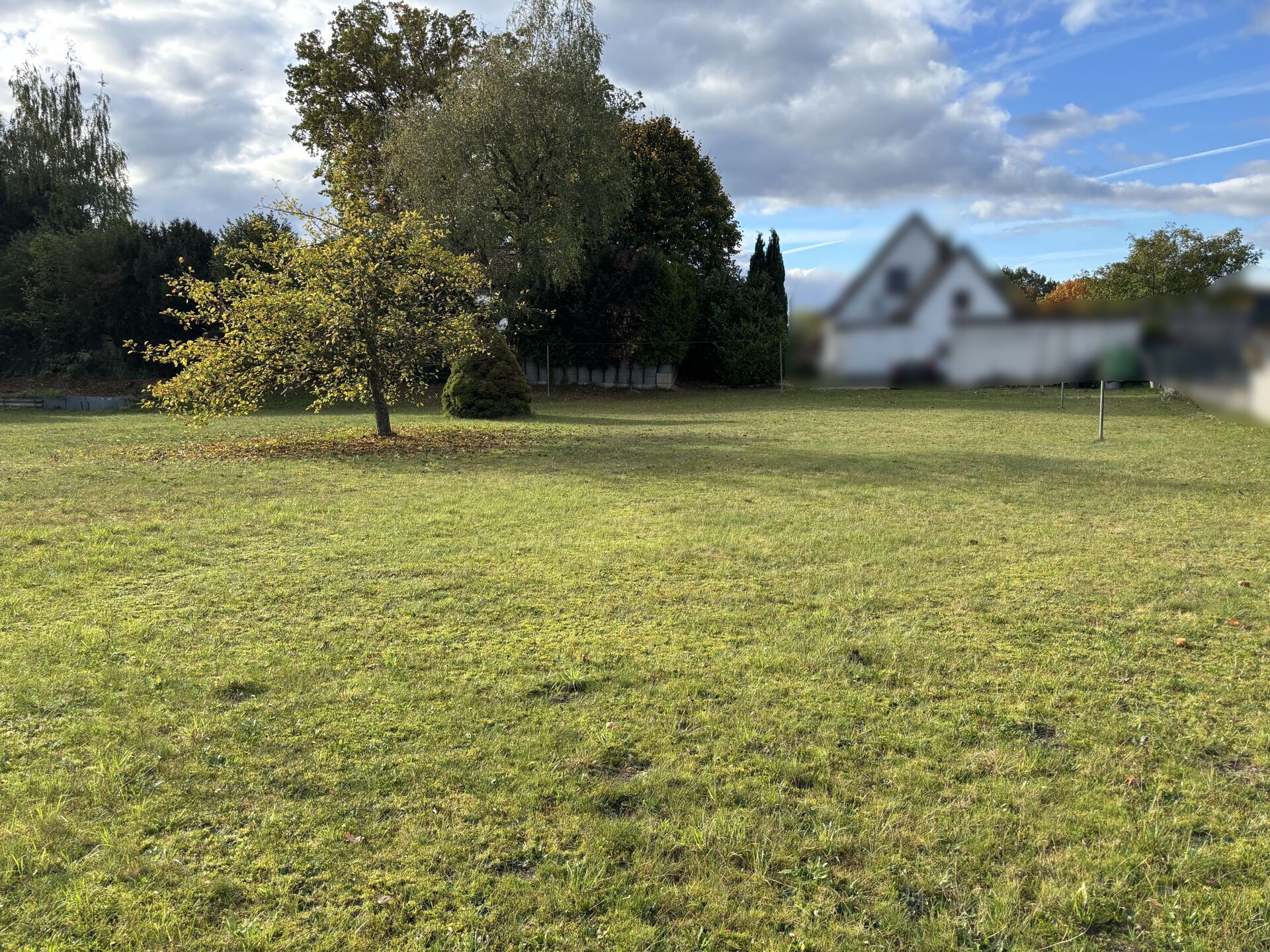 Immobilienangebot - Detmold / Pivitsheide - Grundstücke - Baugrundstück in Pivitsheide V.L.!