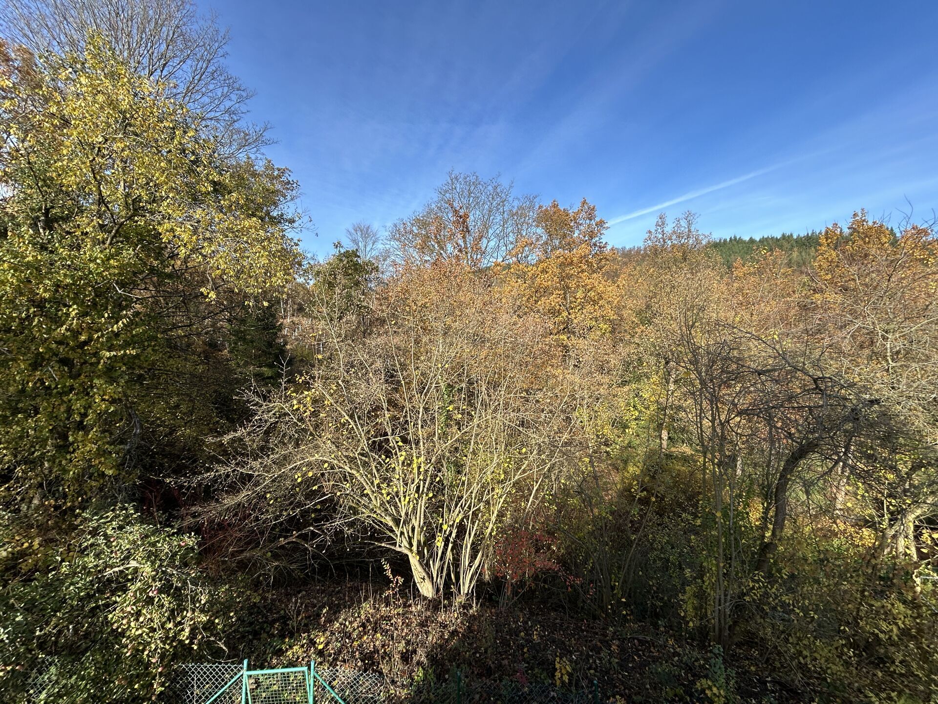 Immobilienangebot - Marsberg - Alle - Charmantes Einfamilienhaus am ruhigen Ortsrand von Marsberg - ideal für Renovierungsfreunde