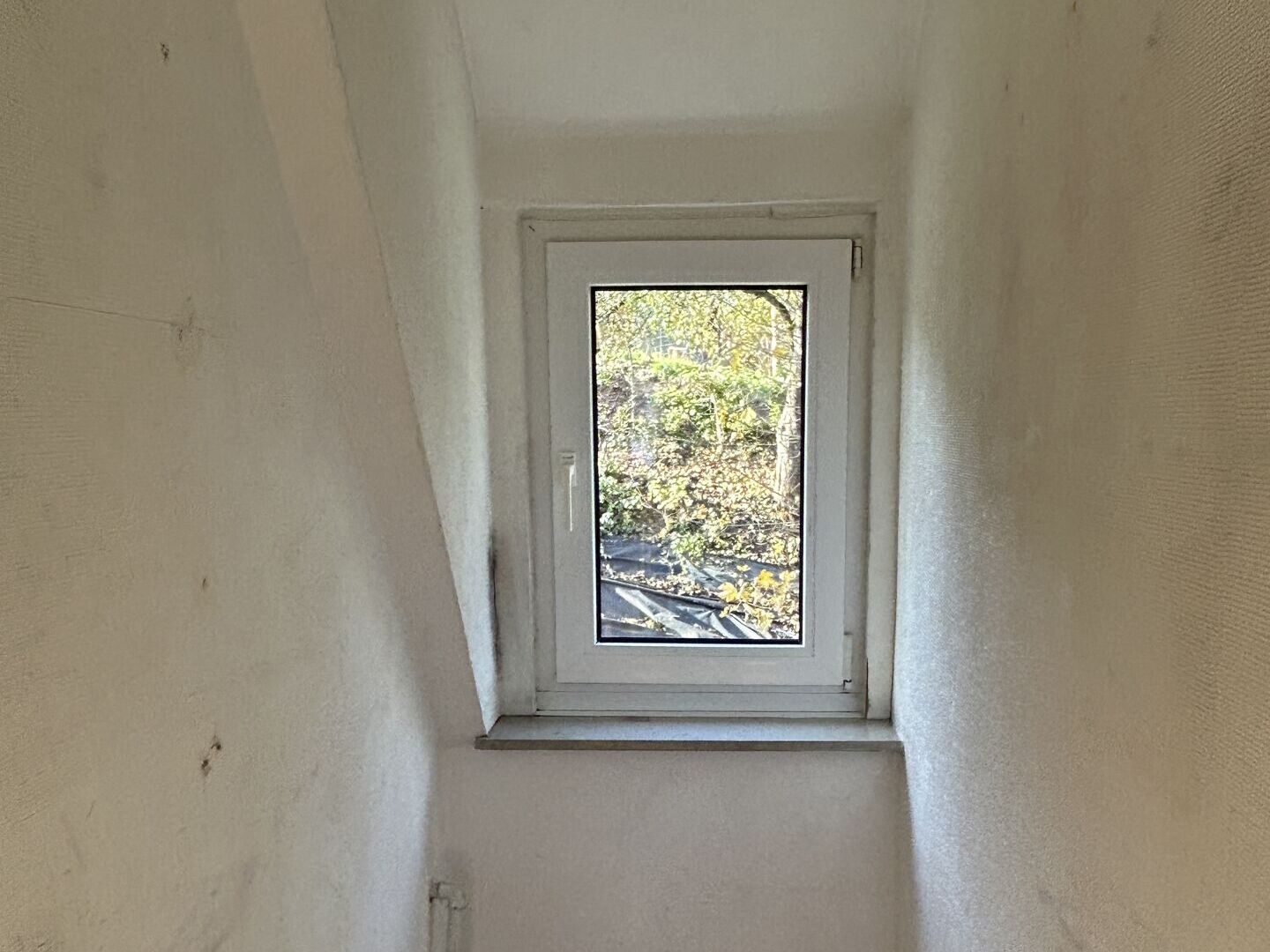 Immobilienangebot - Marsberg - Alle - Charmantes Einfamilienhaus am ruhigen Ortsrand von Marsberg - ideal für Renovierungsfreunde