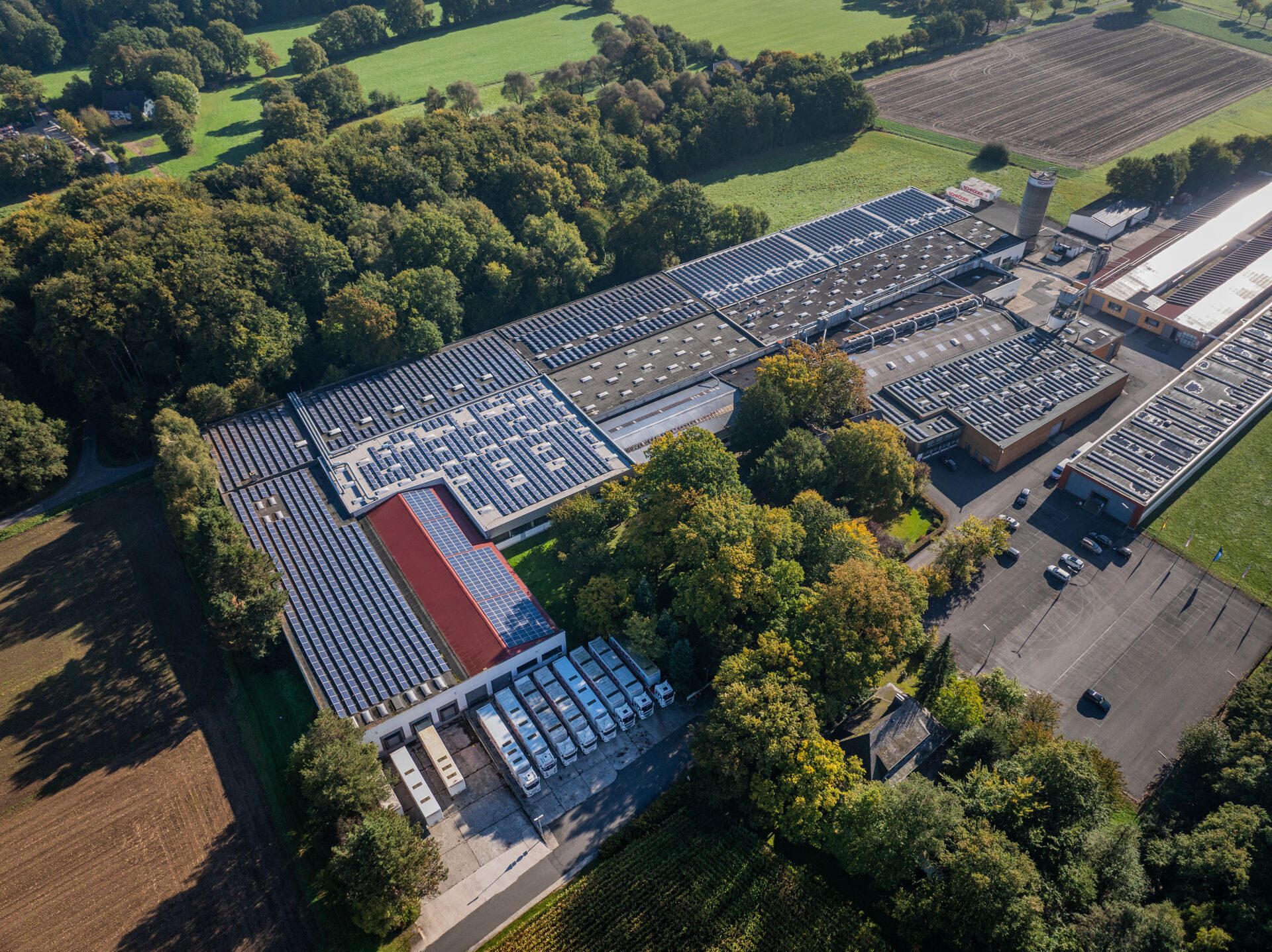 Immobilienangebot - Delbrück - Gewerbe - Gewerbehallen mit moderner Ausstattung und optionalen Büroflächen in der Nähe von Delbrück