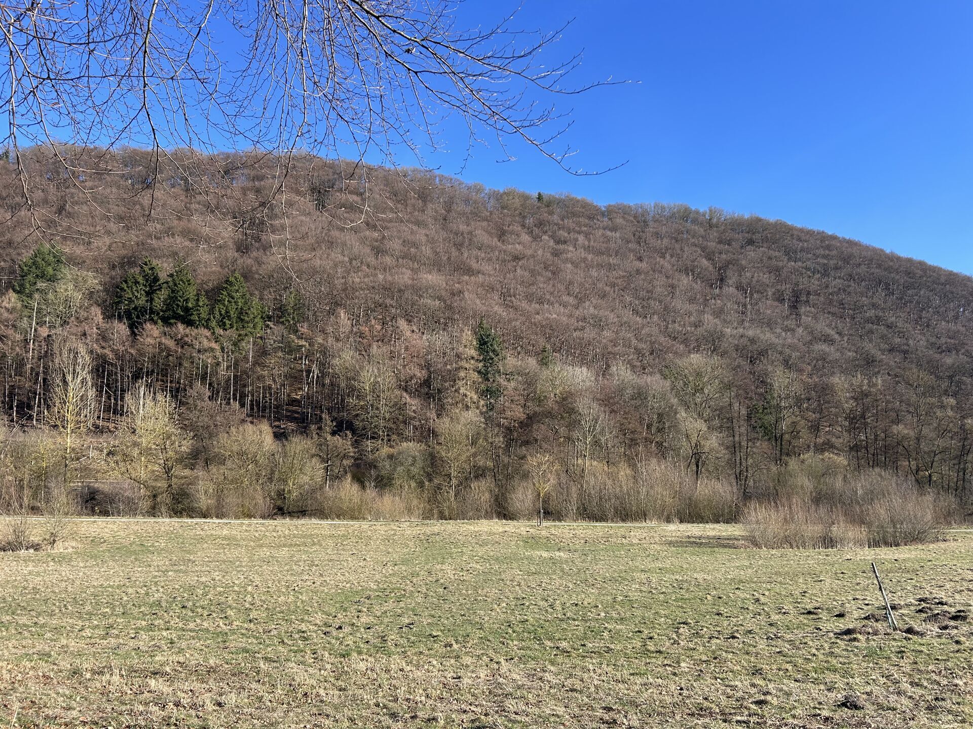 Immobilienangebot - Marsberg - Alle - Einfamilienhaus am Ortsrand von Marsberg