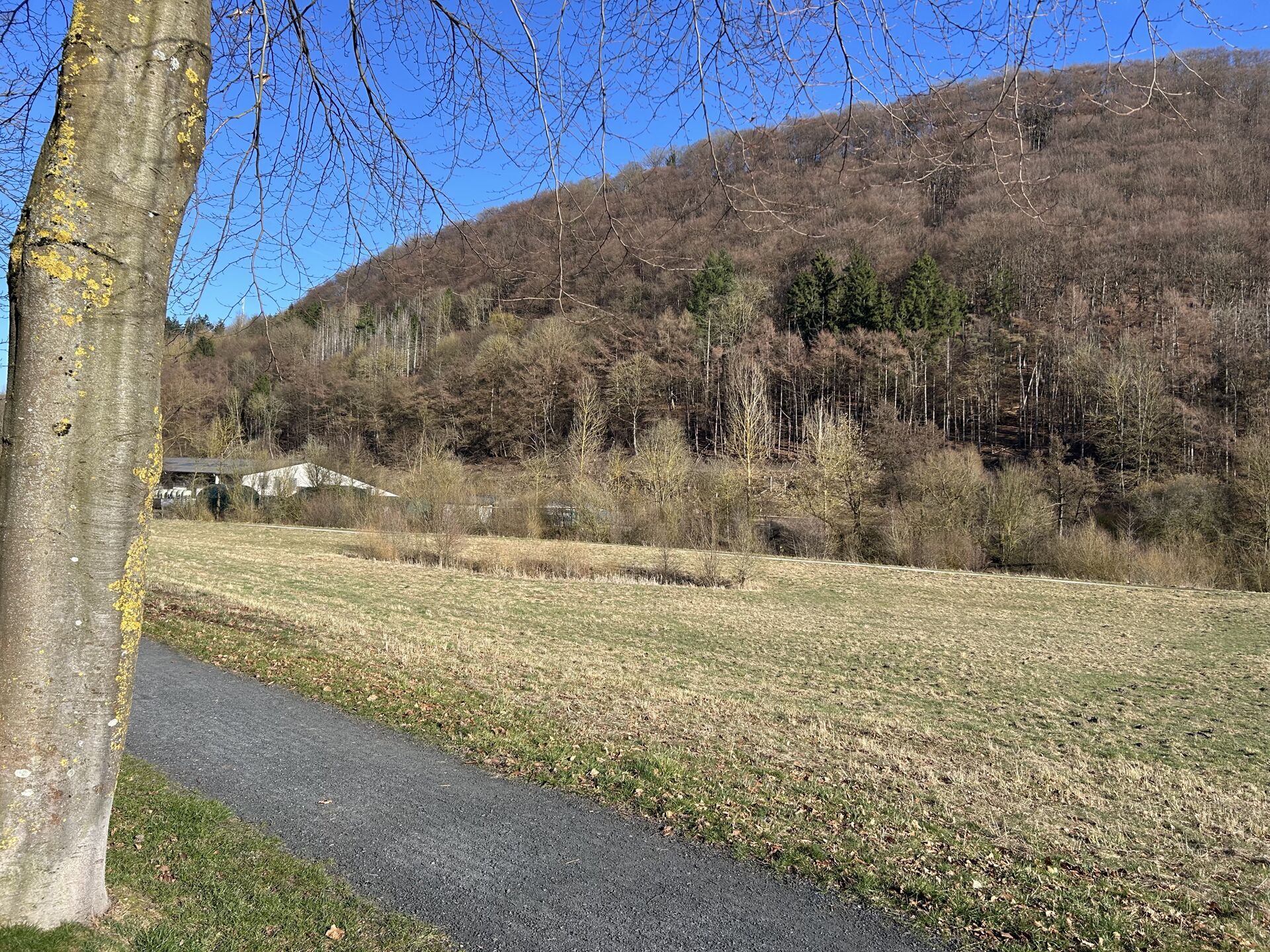 Immobilienangebot - Marsberg - Alle - Einfamilienhaus am Ortsrand von Marsberg