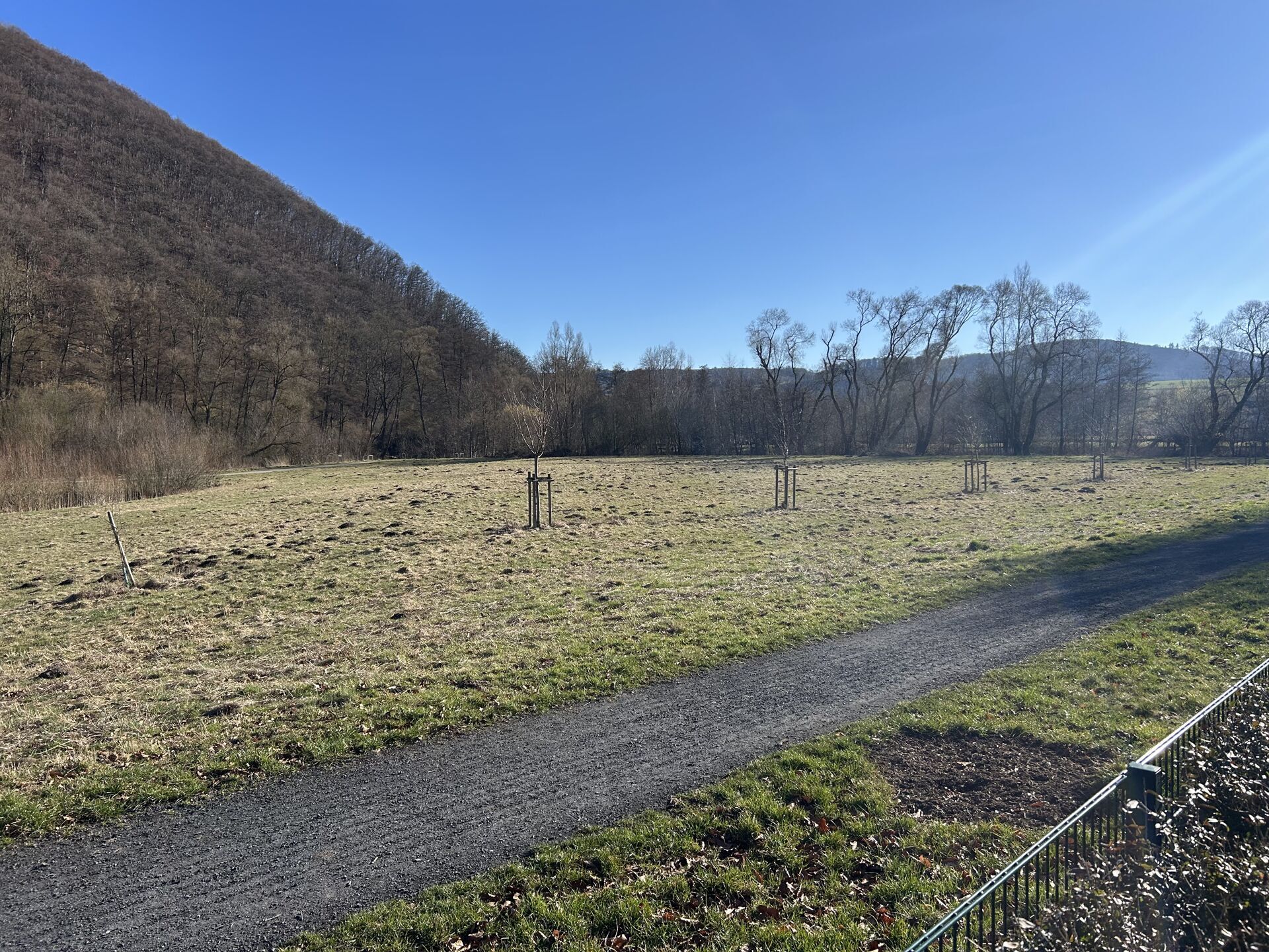 Immobilienangebot - Marsberg - Alle - Einfamilienhaus am Ortsrand von Marsberg