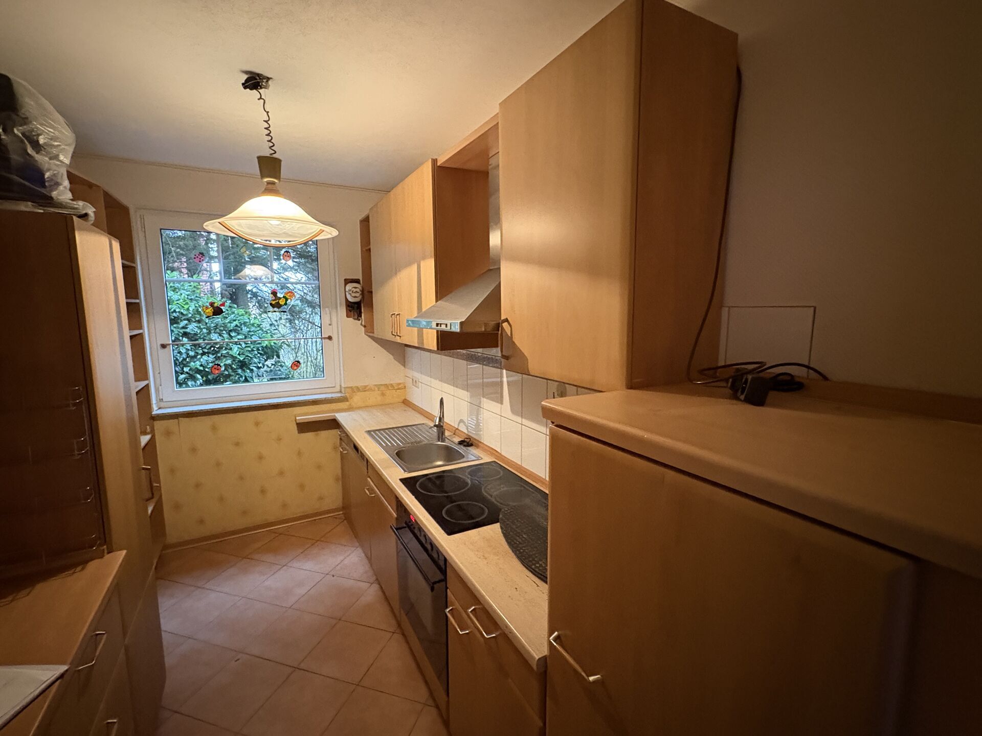 Immobilienangebot - Horn-Bad Meinberg - Alle - Wohnparadies für Naturkundler