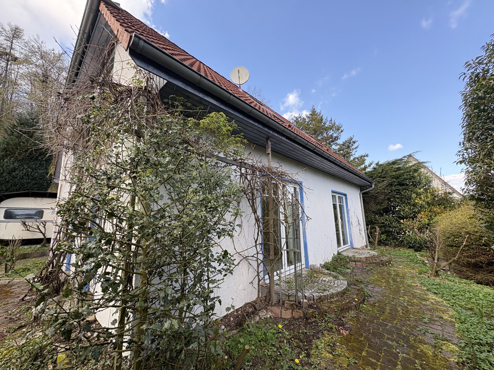 Immobilienangebot - Horn-Bad Meinberg - Alle - Wohnparadies für Naturkundler