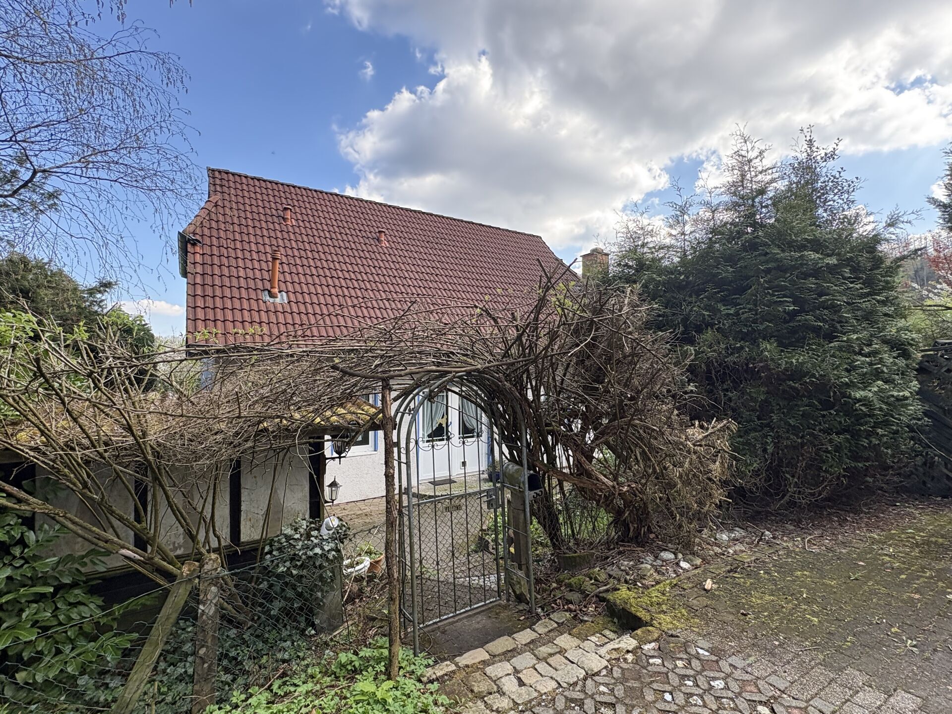 Immobilienangebot - Horn-Bad Meinberg - Alle - Wohnparadies für Naturkundler