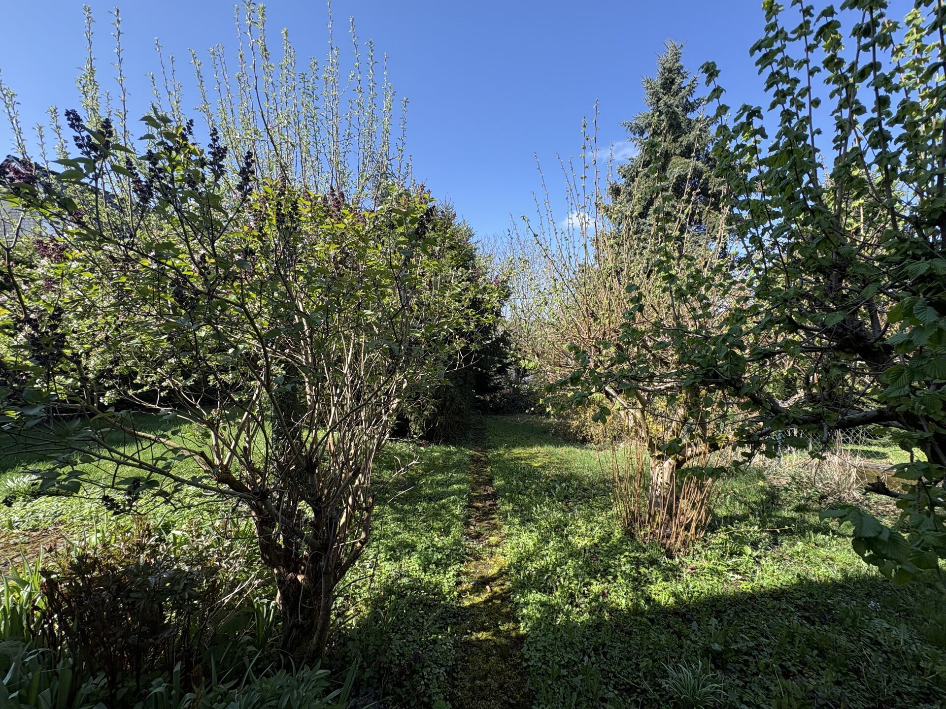 Immobilienangebot - Detmold / Vahlhausen - Alle - Endlich Platz für die Familie!