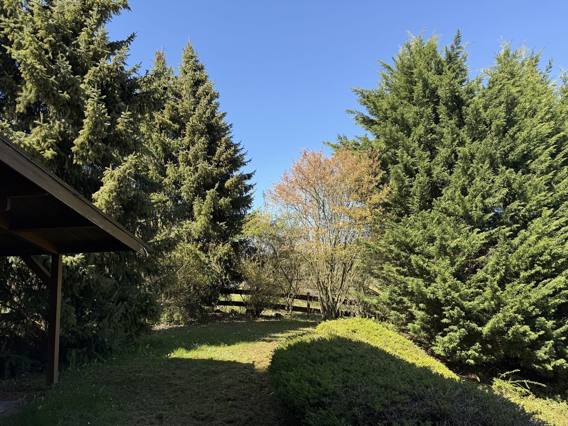 Immobilienangebot - Brakel / Istrup - Alle - Wohnen mit Qualität - Solides EFH mit Garage !