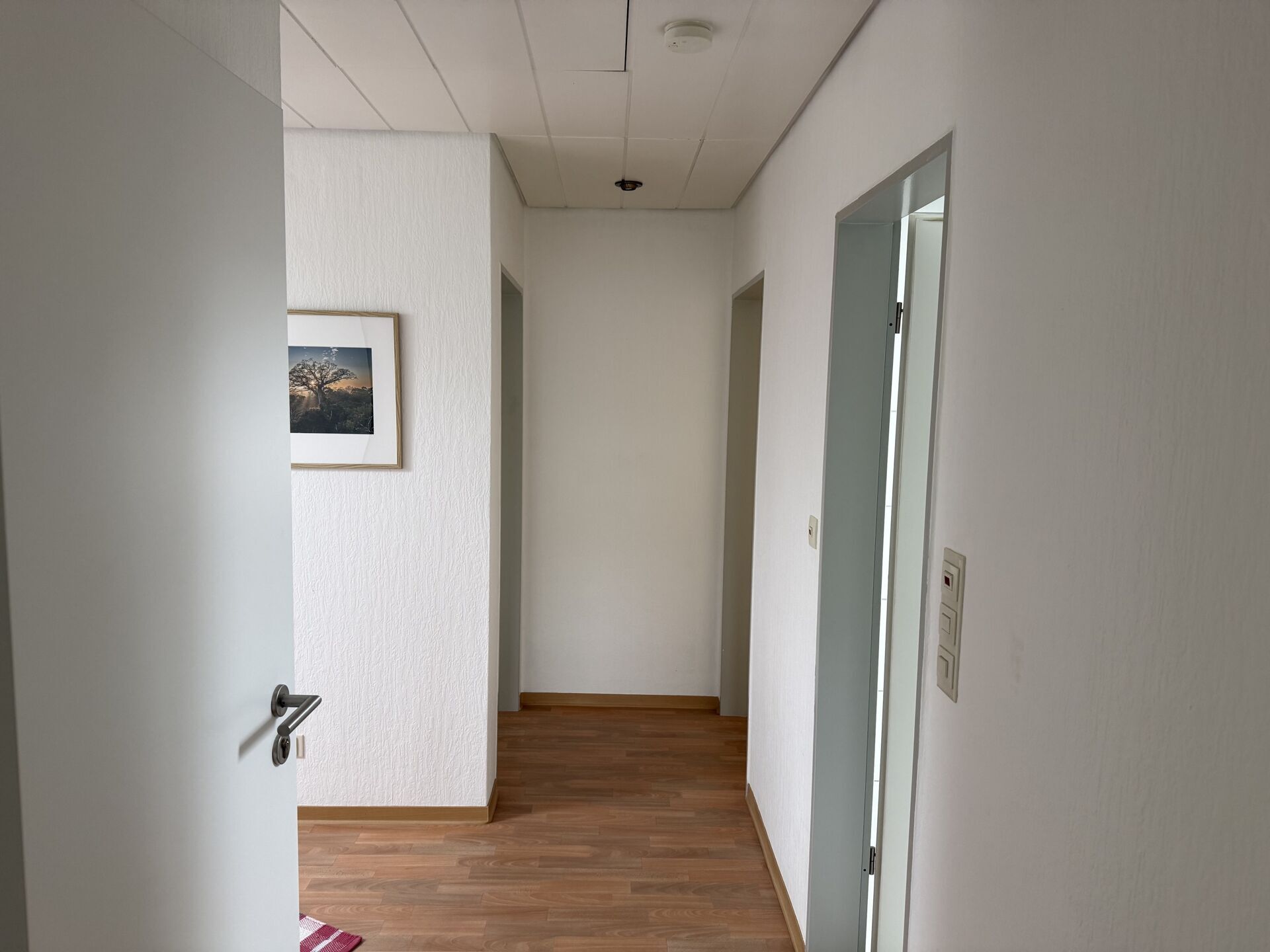Immobilienangebot - Bad Driburg - Alle - Großes Haus mit Lagerfläche, Werkstatt und zwei Garagen !