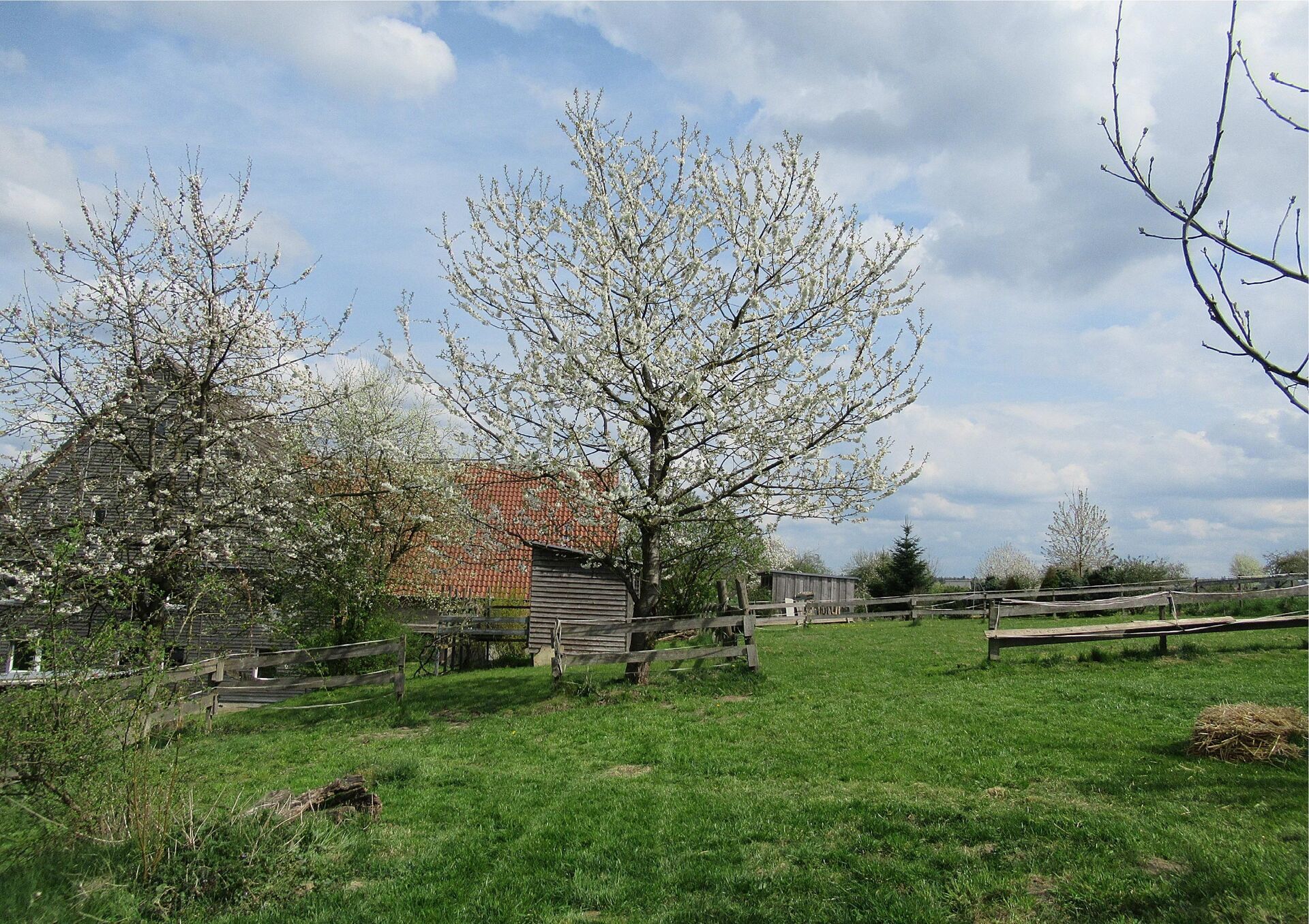 Immobilienangebot - Horn-Bad Meinberg - Alle - Das Besondere für ihre Ideen: ein Resthof mit Raum für Mensch und Tier