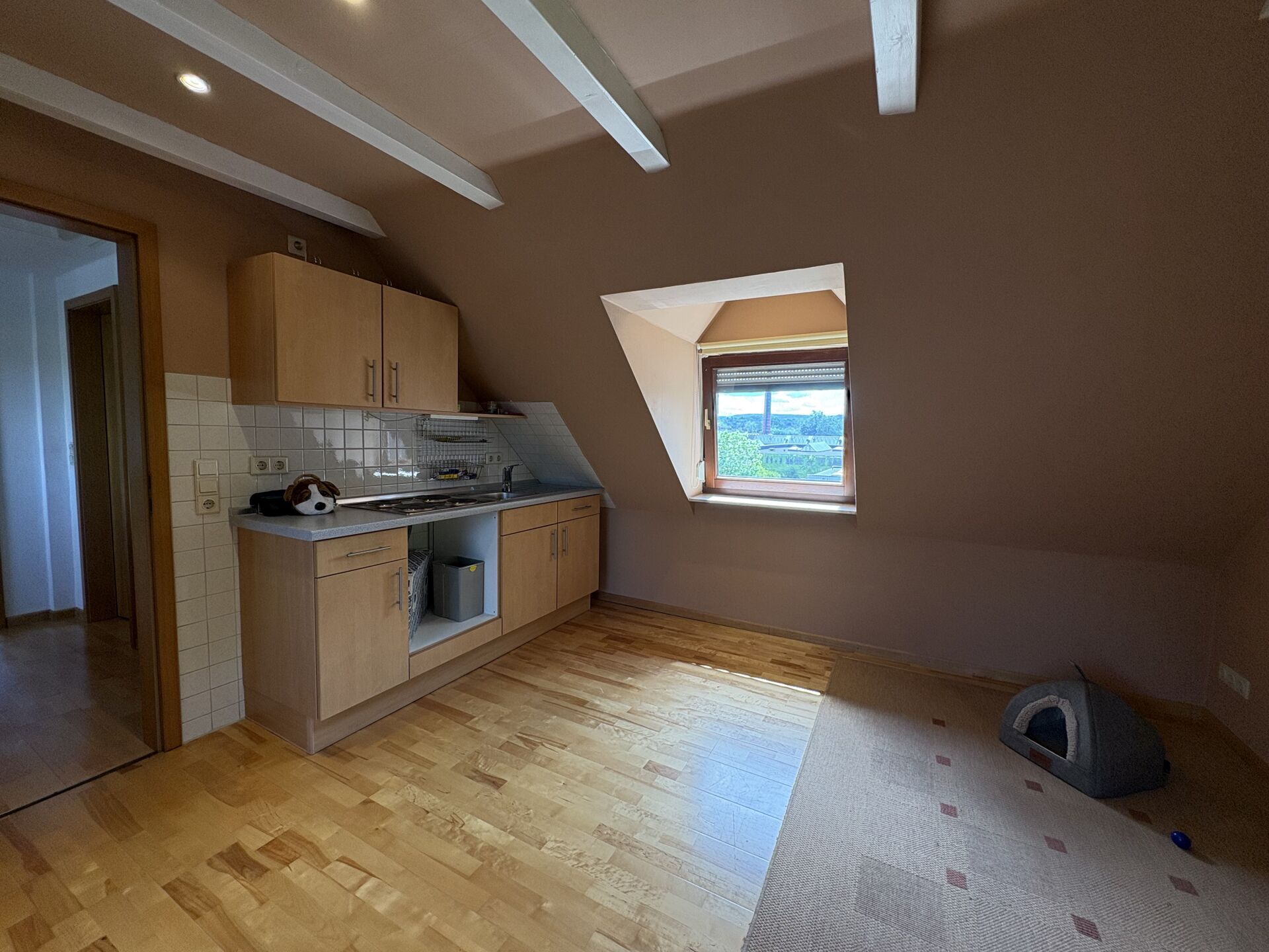 Immobilienangebot - Detmold - Alle - Seltenes Ensemble: Modernisiertes Wohnhaus mit Gewerbehalle!