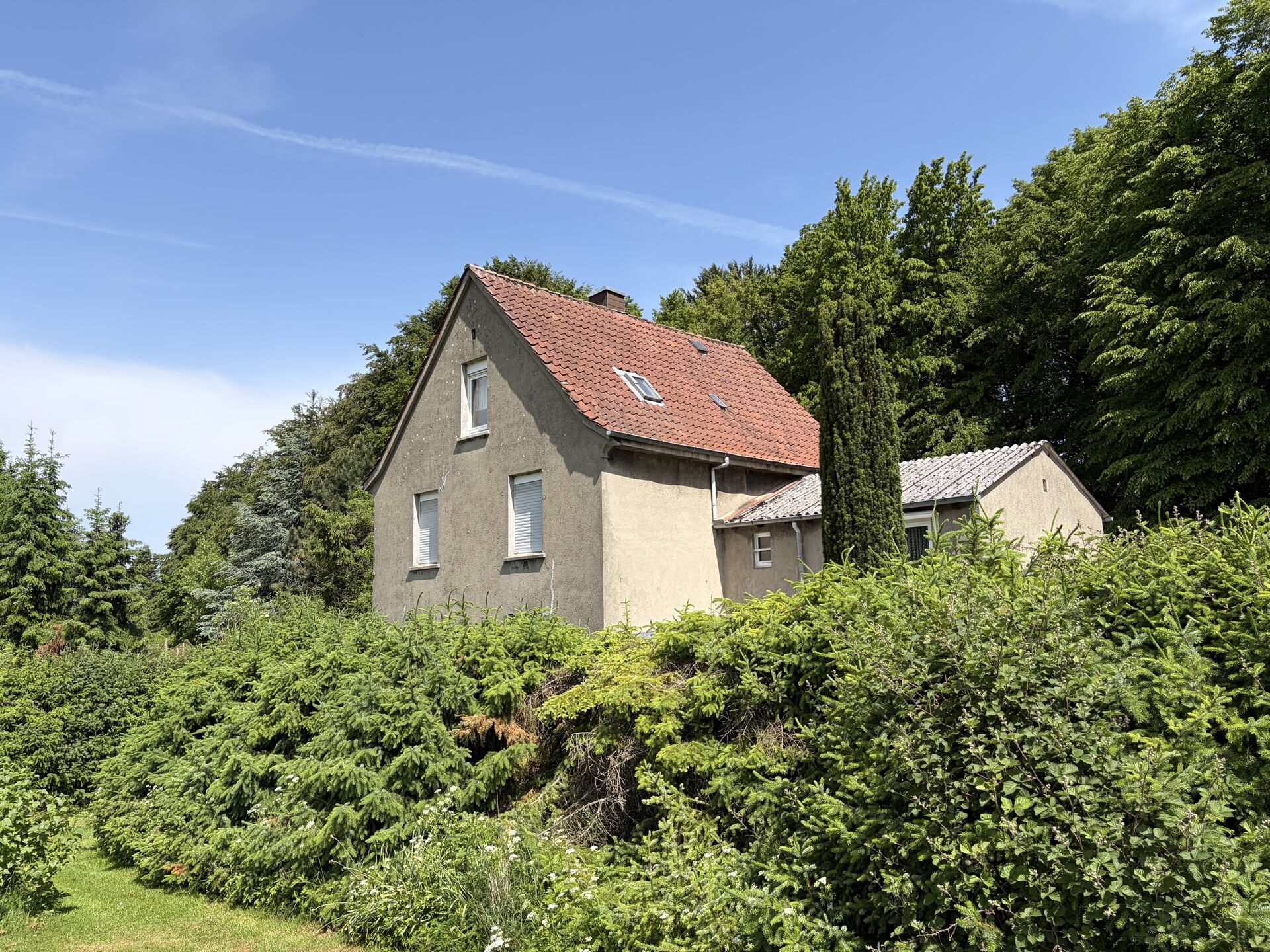 Immobilienangebot - Detmold / Heiligenkirchen - Alle - Natur pur - Einfamilienhaus in Alleinlage!