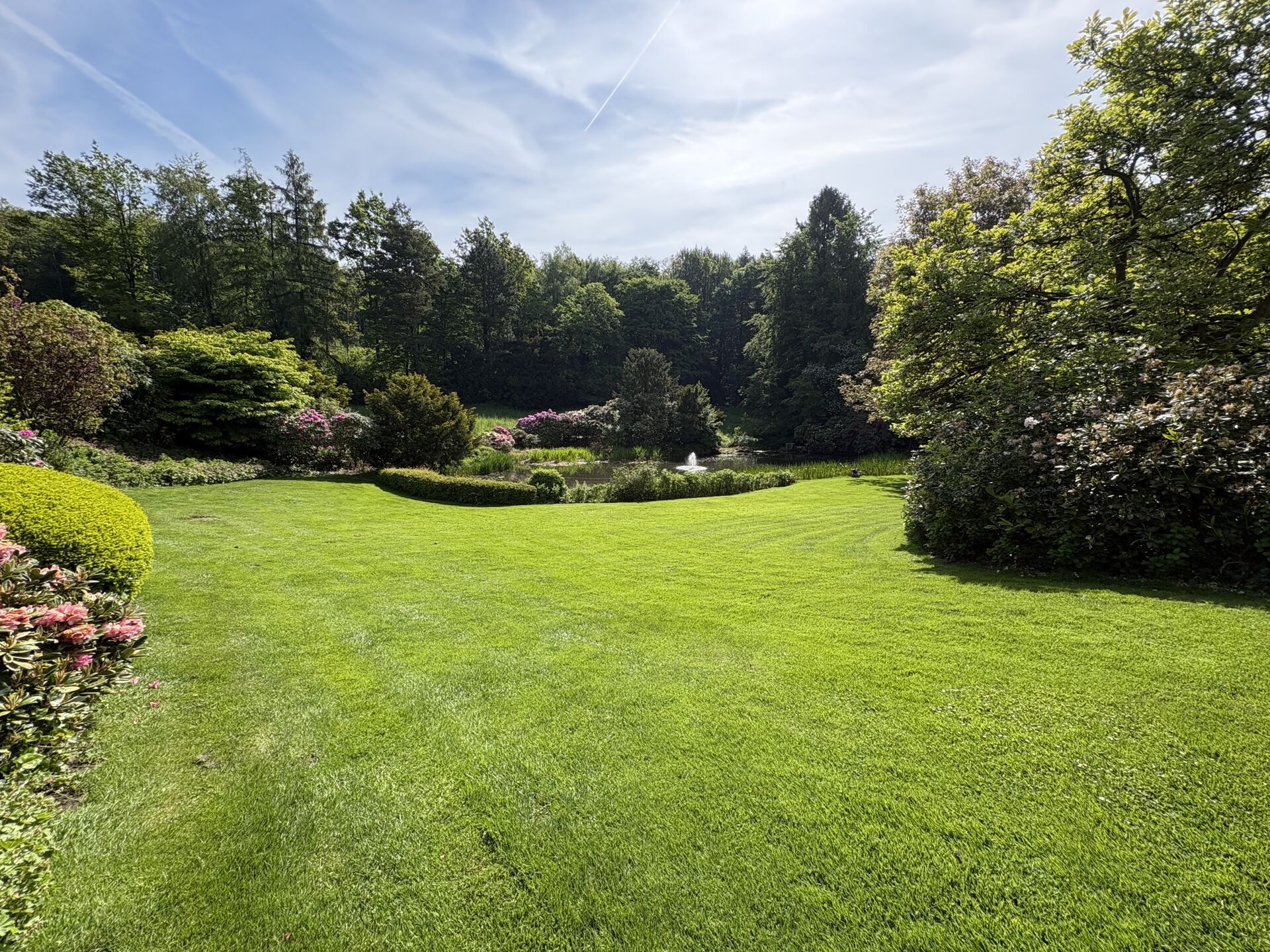 Immobilienangebot - Horn-Bad Meinberg / Fissenknick - Alle - Wo Geschichte auf Moderne trifft und Wohnträume Wurzeln schlagen!