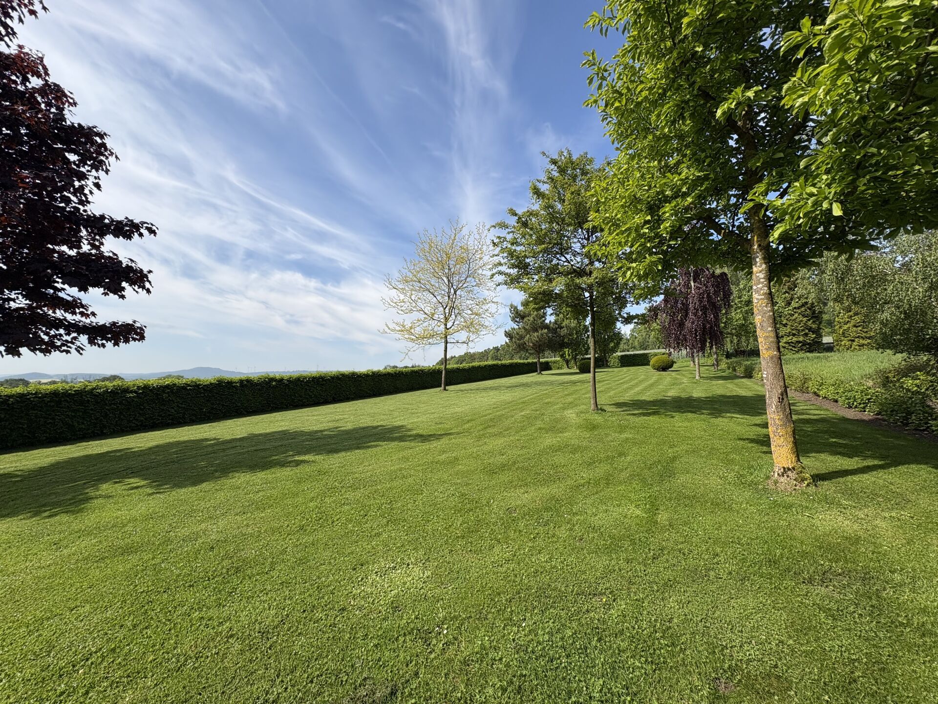 Immobilienangebot - Horn-Bad Meinberg / Fissenknick - Alle - Wo Geschichte auf Moderne trifft und Wohnträume Wurzeln schlagen!