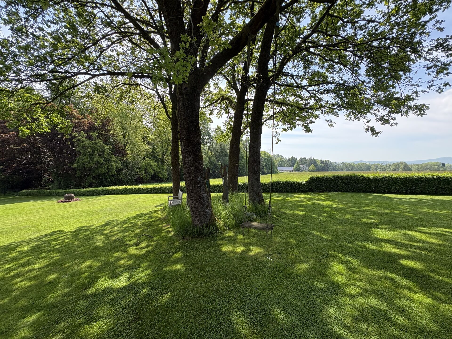 Immobilienangebot - Horn-Bad Meinberg / Fissenknick - Alle - Wo Geschichte auf Moderne trifft und Wohnträume Wurzeln schlagen!