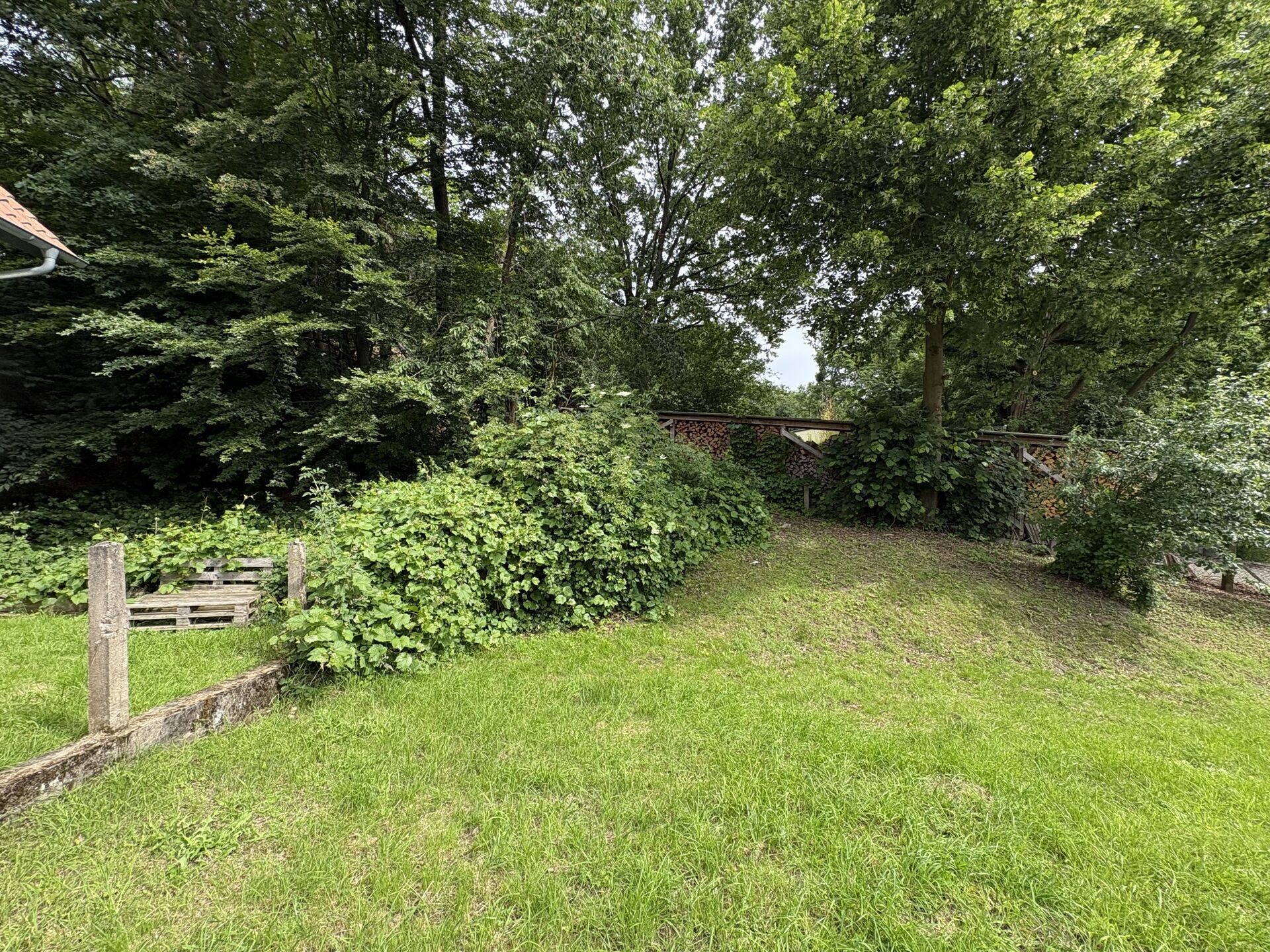 Immobilienangebot - Extertal / Almena - Alle - Hier ist Individualität möglich !