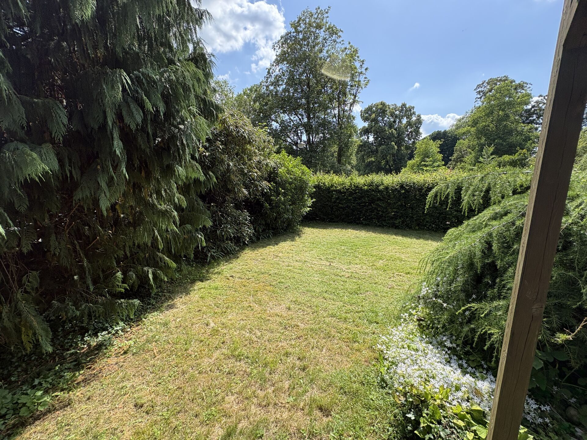 Immobilienangebot - Horn-Bad Meinberg - Alle - Doppelpack im Herzen von Bad Meinberg! Viele Chancen für Sie!