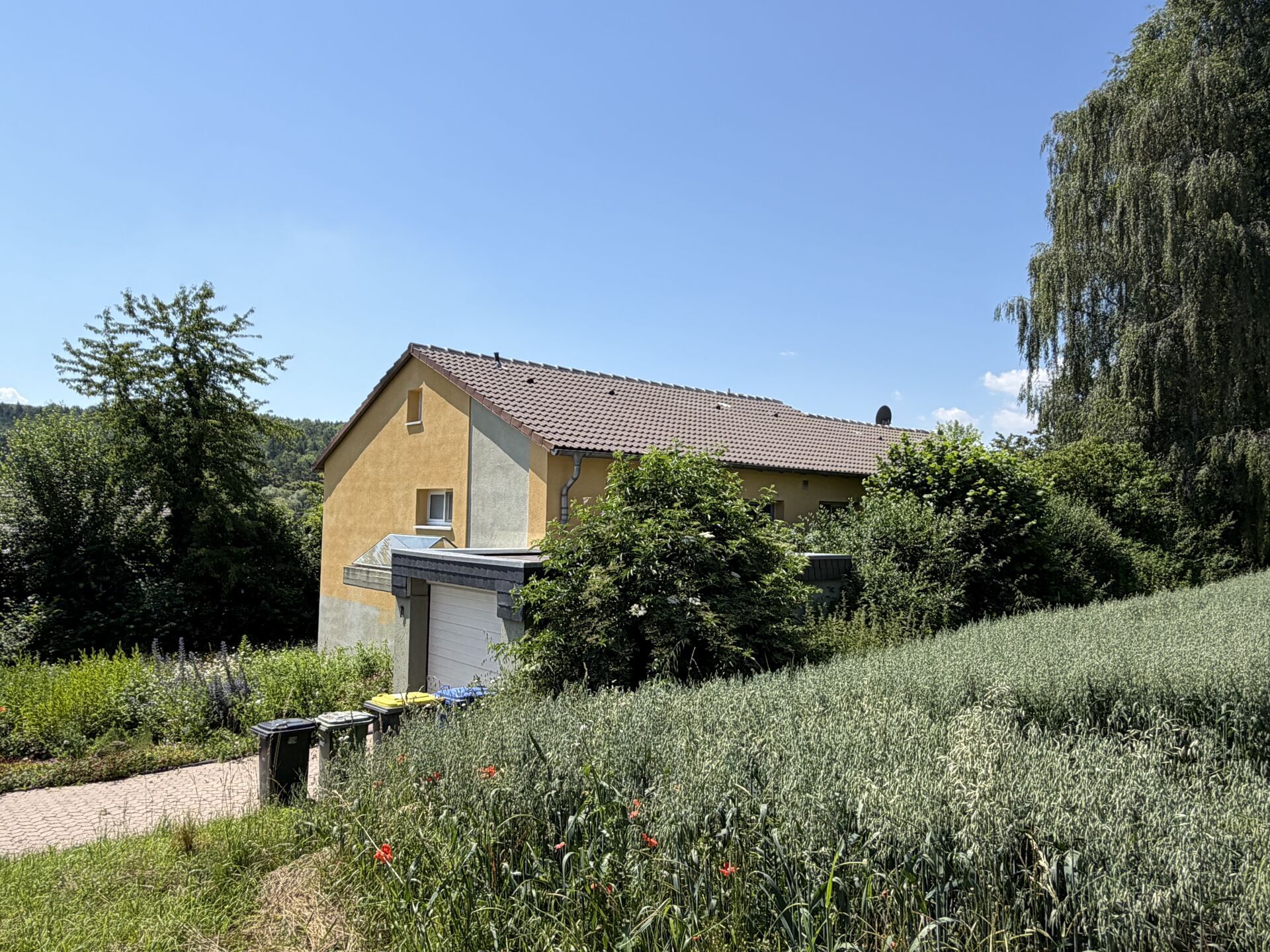 Immobilienangebot - Warburg / Germete - Alle - Solides Einfamilienhaus mit großem Grundstück in Ortsrandlage von Warburg-Germete