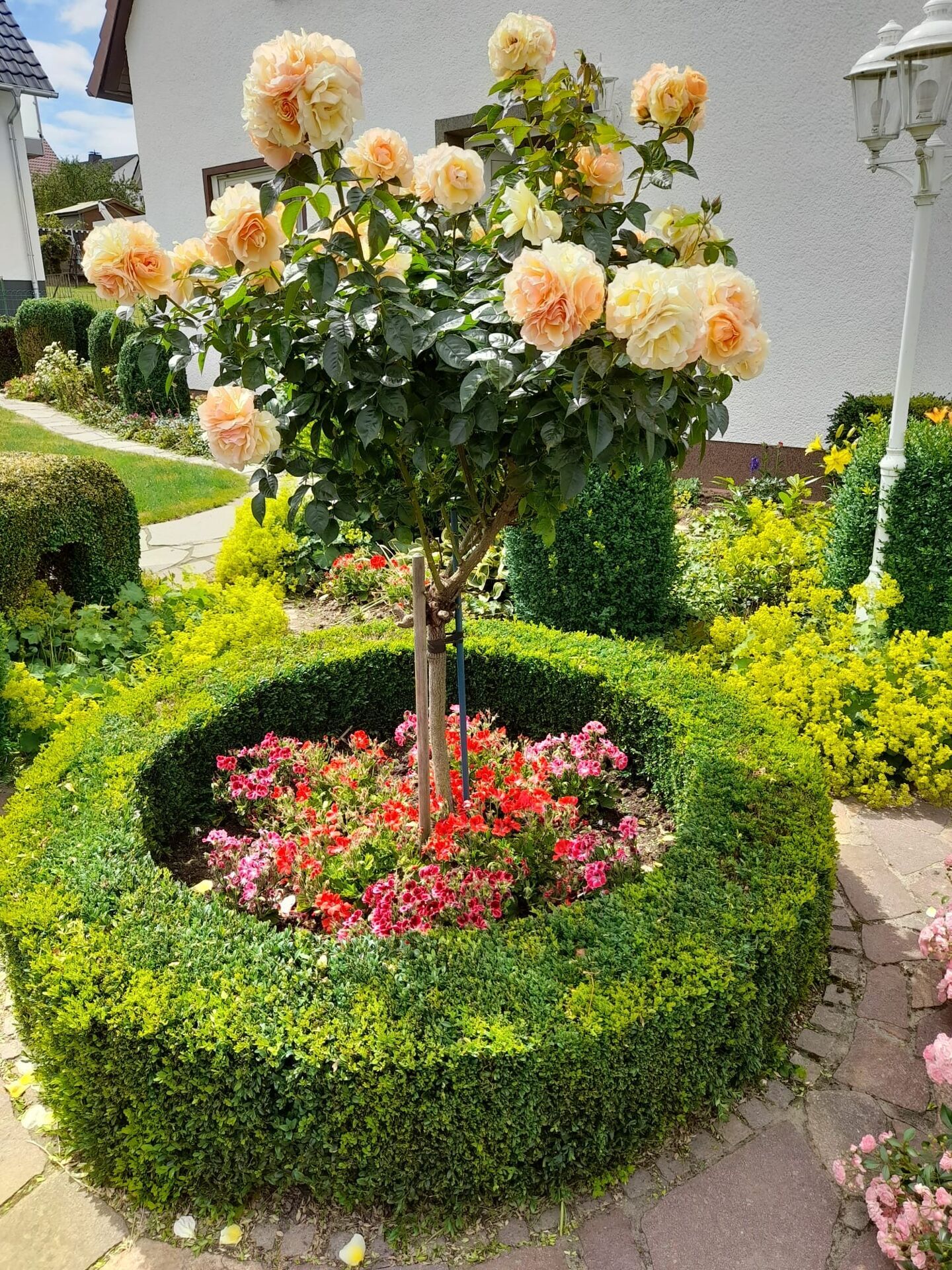 Immobilienangebot - Nieheim - Alle - Glückstreffer für die große Familie ! Nutzen Sie die Gelegenheit