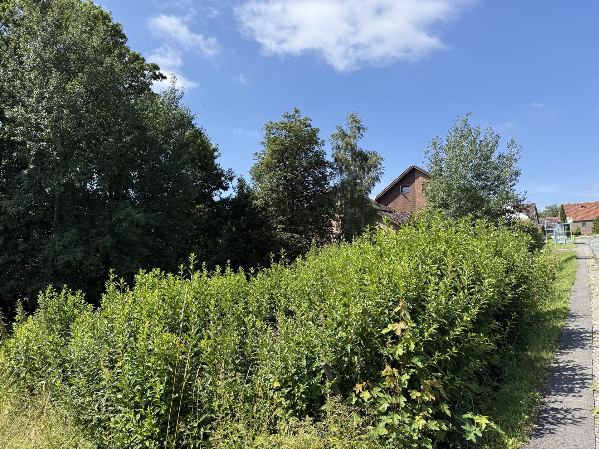 Immobilienangebot - Bad Driburg / Neuenheerse - Alle - Haus am Wald gelegen mit Werkstatt und Wiese - auch ideal für Pferdeliebhaber !