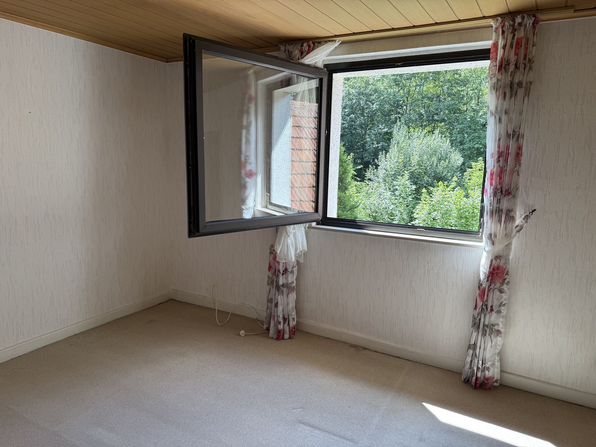 Immobilienangebot - Bad Driburg / Neuenheerse - Alle - Haus am Wald gelegen mit Werkstatt und Wiese - auch ideal für Pferdeliebhaber !