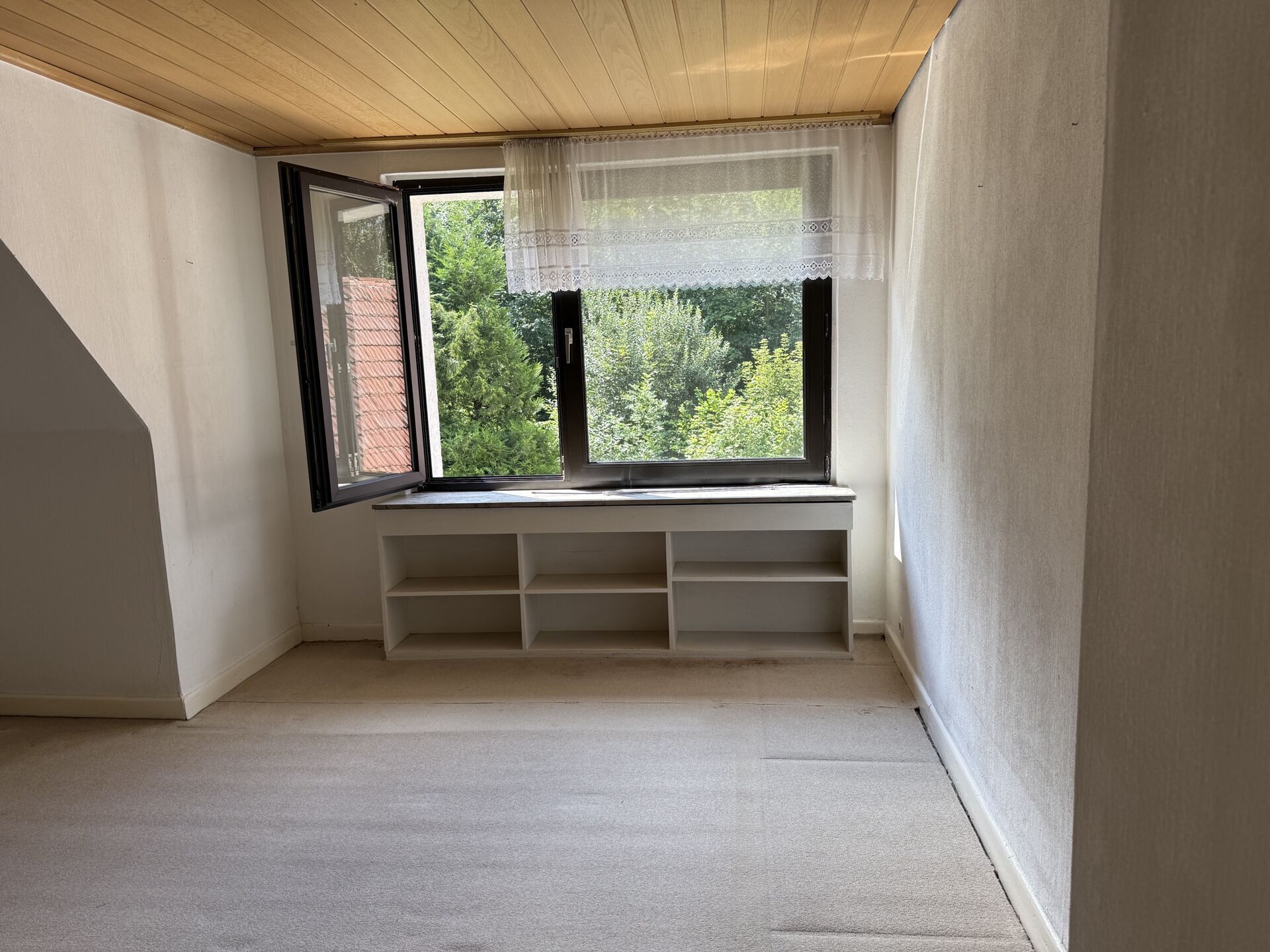 Immobilienangebot - Bad Driburg / Neuenheerse - Alle - Haus am Wald gelegen mit Werkstatt und Wiese - auch ideal für Pferdeliebhaber !