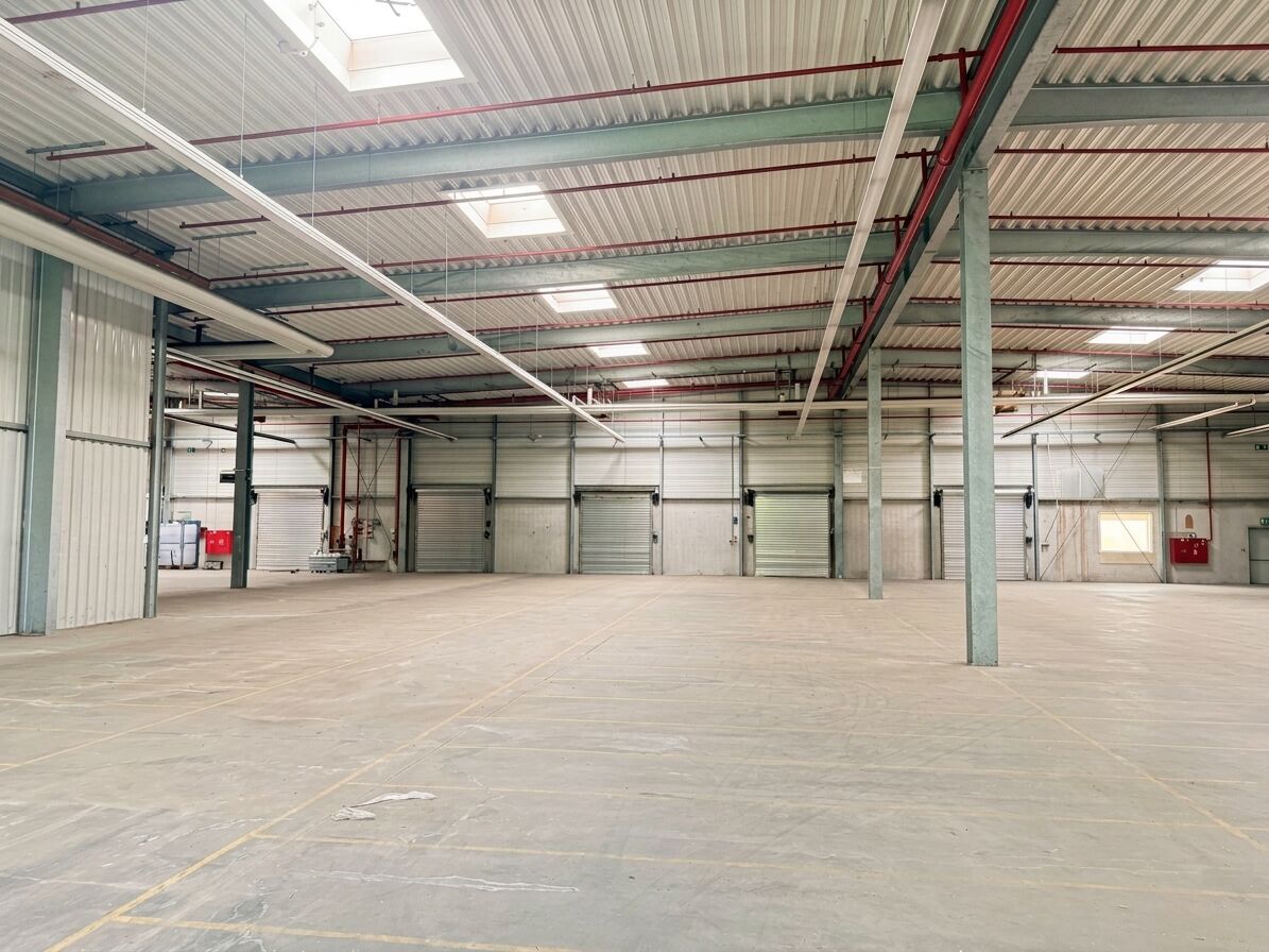 Immobilienangebot - Lage - Gewerbe - Großzügige Industriehalle mit weitläufiger Freifläche  zur Erweiterung