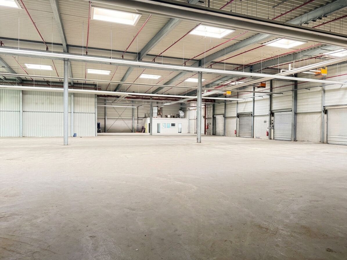 Immobilienangebot - Lage - Gewerbe - Großzügige Industriehalle mit weitläufiger Freifläche  zur Erweiterung