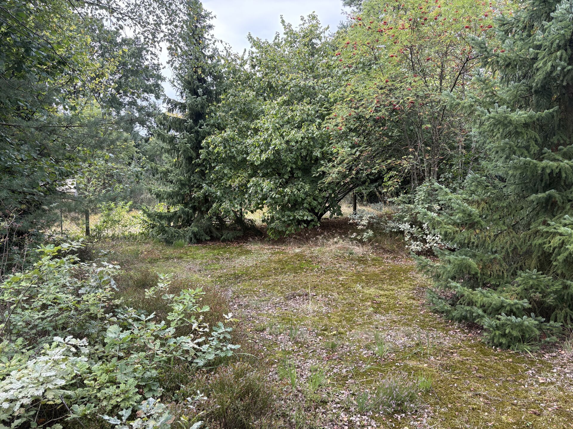 Immobilienangebot - Augustdorf - Alle - Großzügiges Einfamilienhaus mit Grundstückspotenzial in Augustdorf!