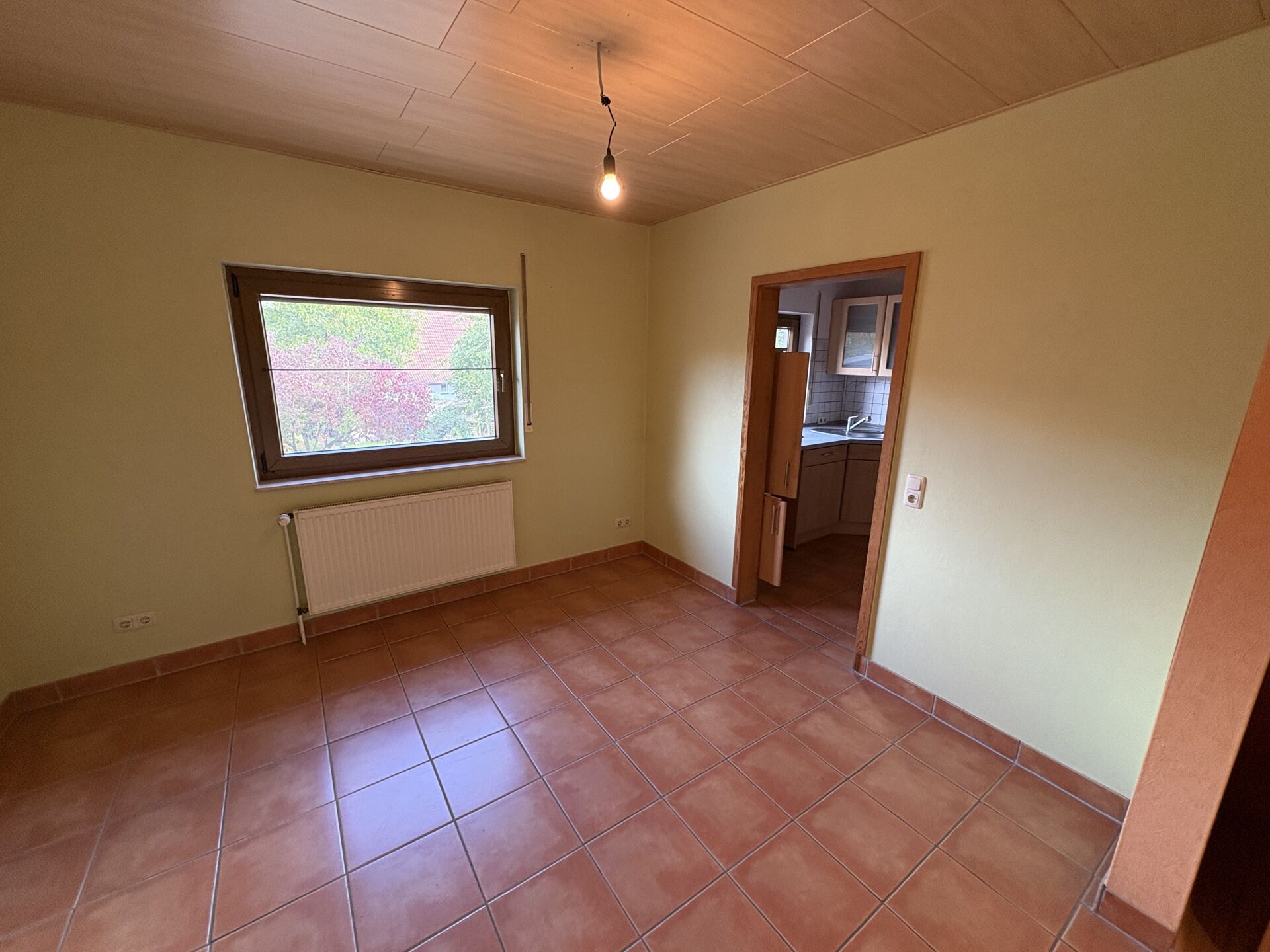 Immobilienangebot - Schieder-Schwalenberg / Brakelsiek - Alle - Wohnen und Leben in grüner Umgebung