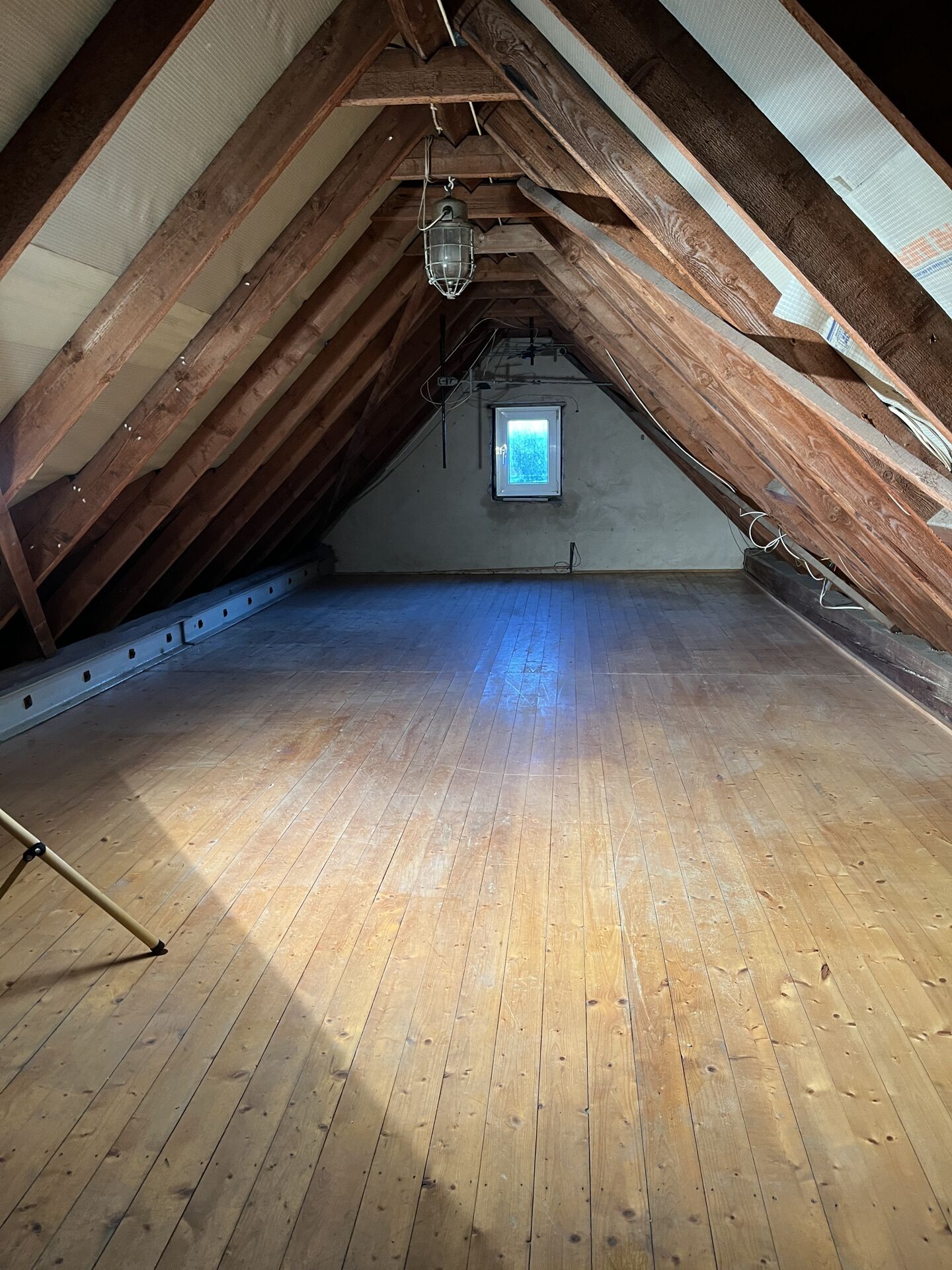 Immobilienangebot - Lage - Alle - Wohnen am Stadtwald - mit Mieteinnahmen im Gepäck!