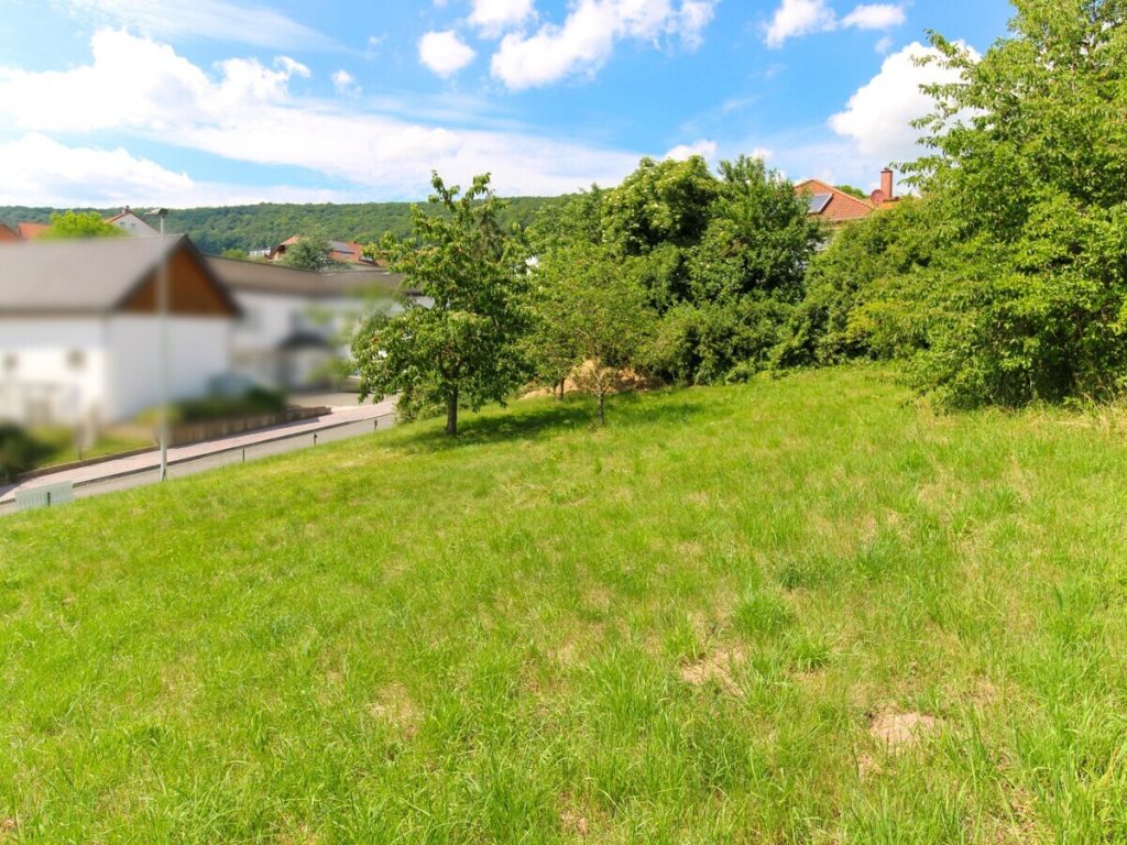 Grundstück Straßenblick VR Immobilien GmbH - Immobilienangebot - Hohenroda - Grundstücke - Baugrundstück in Mansbach zu verkaufen