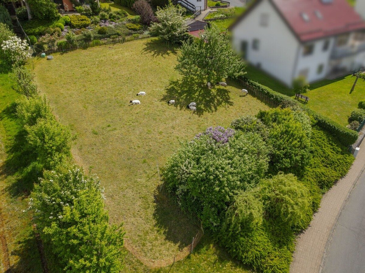  VR Immobilien GmbH - Immobilienangebot - Tann (Rhön) - Grundstücke - Ihr sonniger Bauplatz in Tann (Rhön)