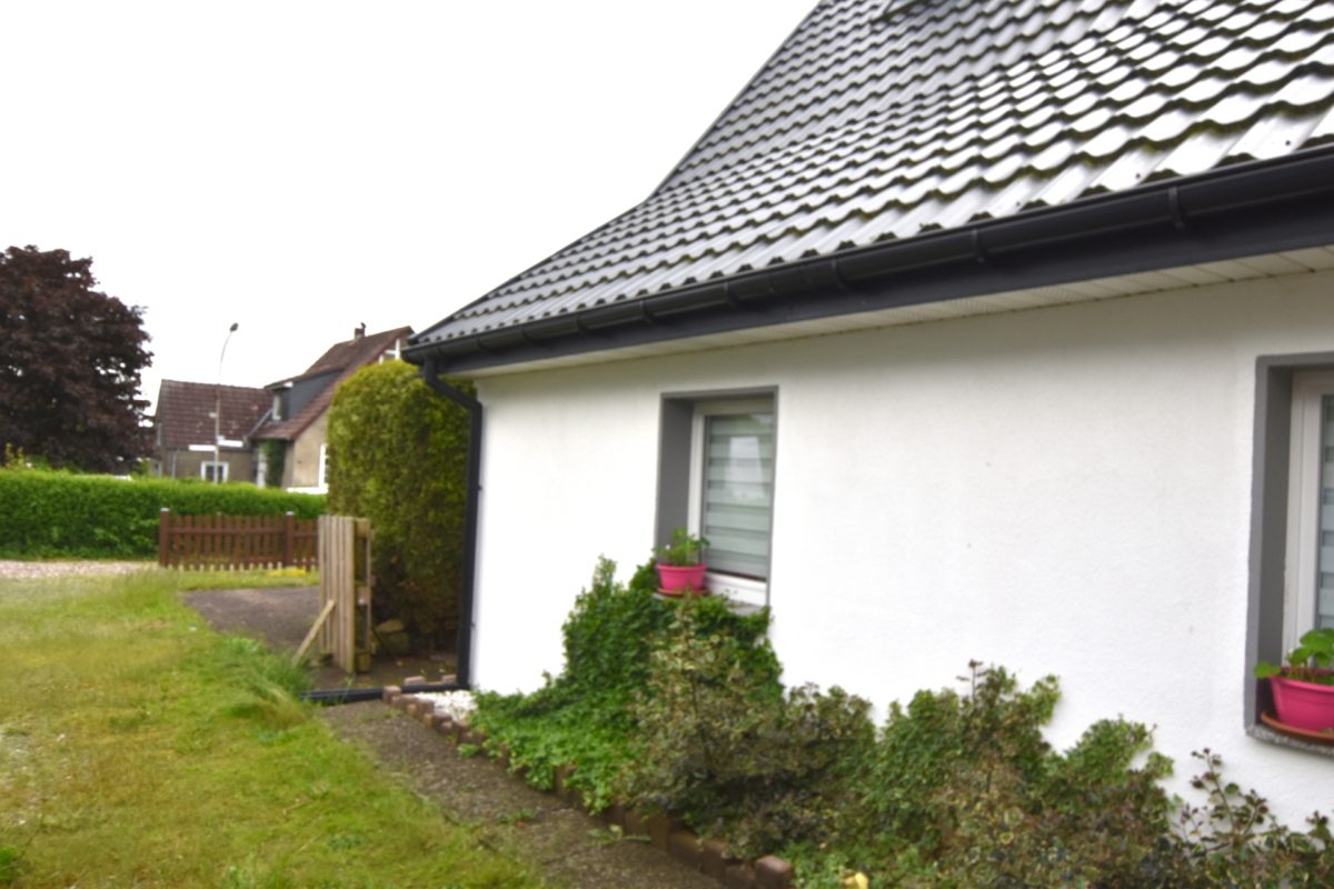 Immobilienangebot - Immenstedt / Nordfriesland - Alle - Einfamilienhaus mit möglicher Einliegerwohnung,
Dorfleben 10 km westlich von Husum
