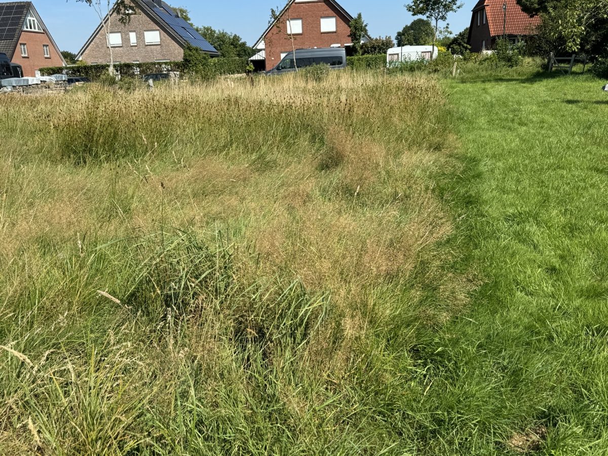 Immobilienangebot - Ottenbüttel - Alle - Großes Baugrundstück im beliebten Ottenbüttel nahe Itzehoe